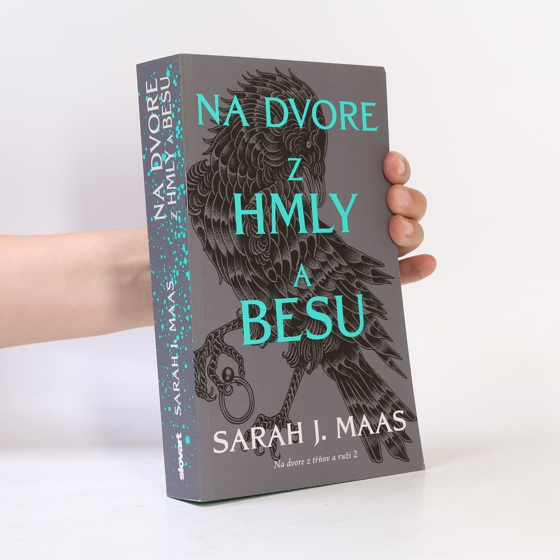 Sarah J. Maas Na dvore z hmly a besu
