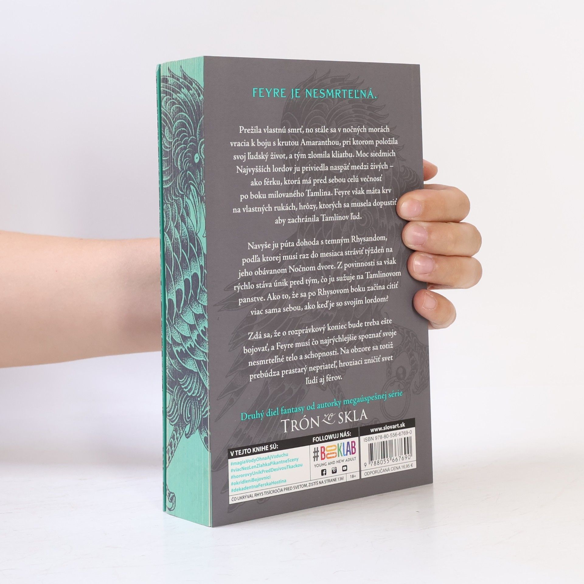 Sarah J. Maas Na dvore z hmly a besu