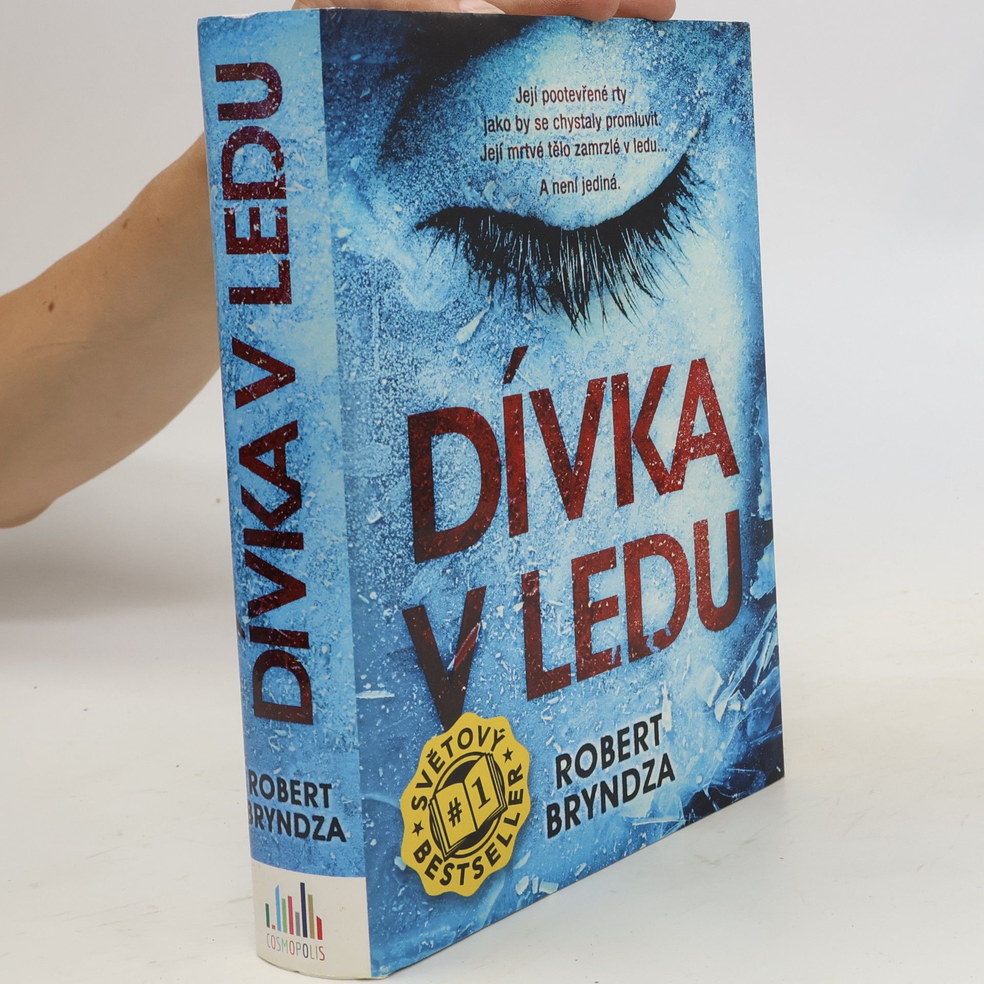 Robert Bryndza Dívka v ledu