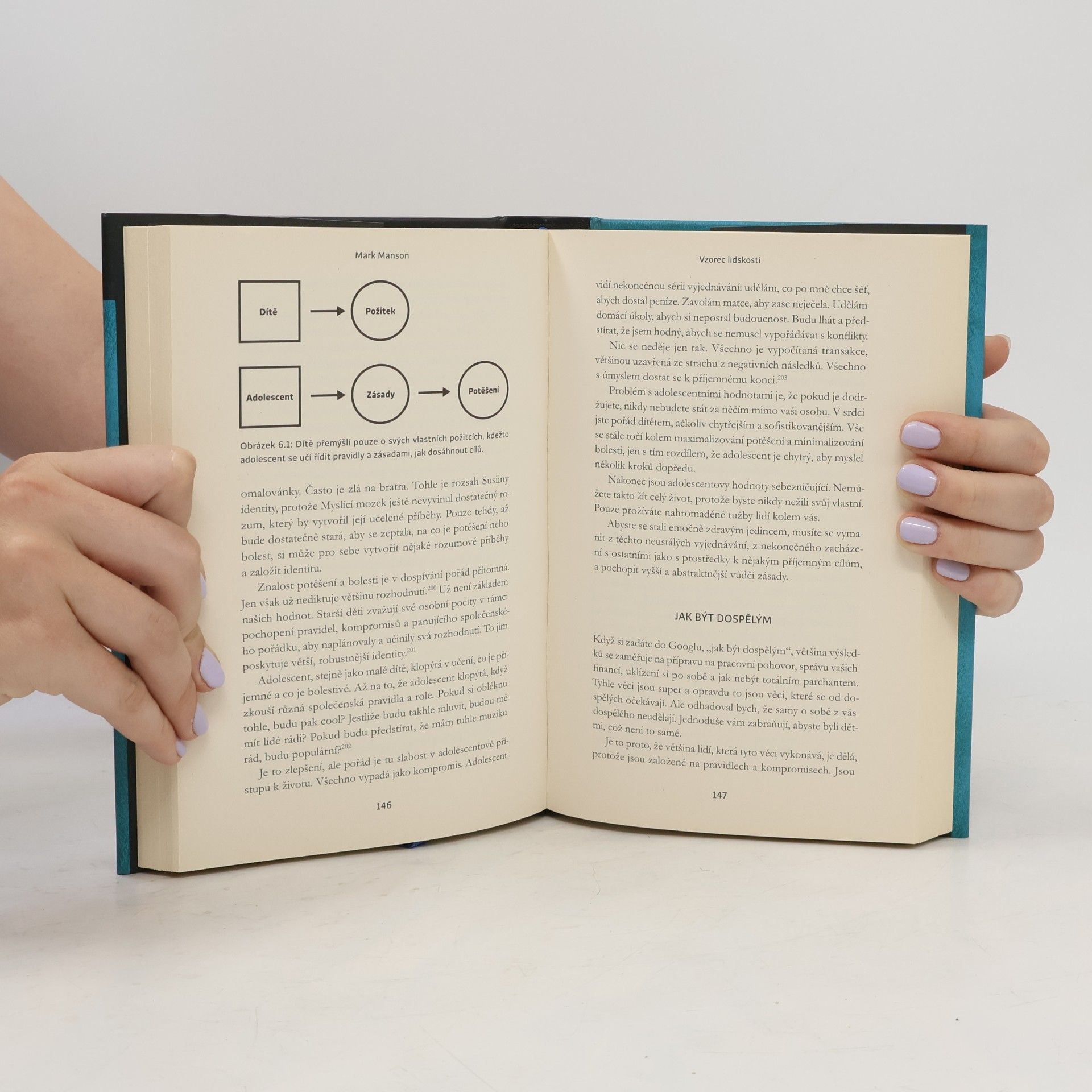 Mark Manson Všechno je v pr**li