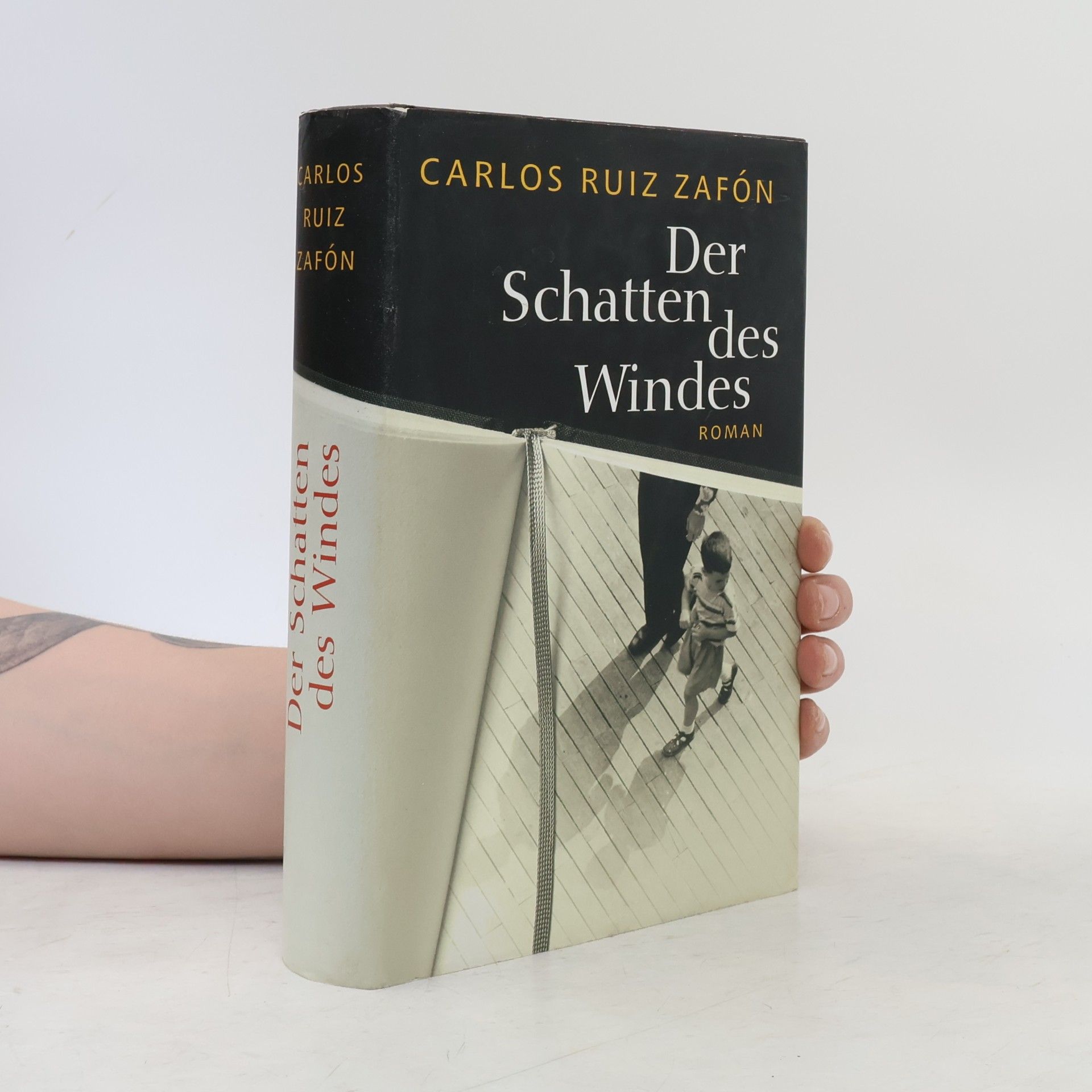 Carlos Ruiz Safon Der Schatten des Windes