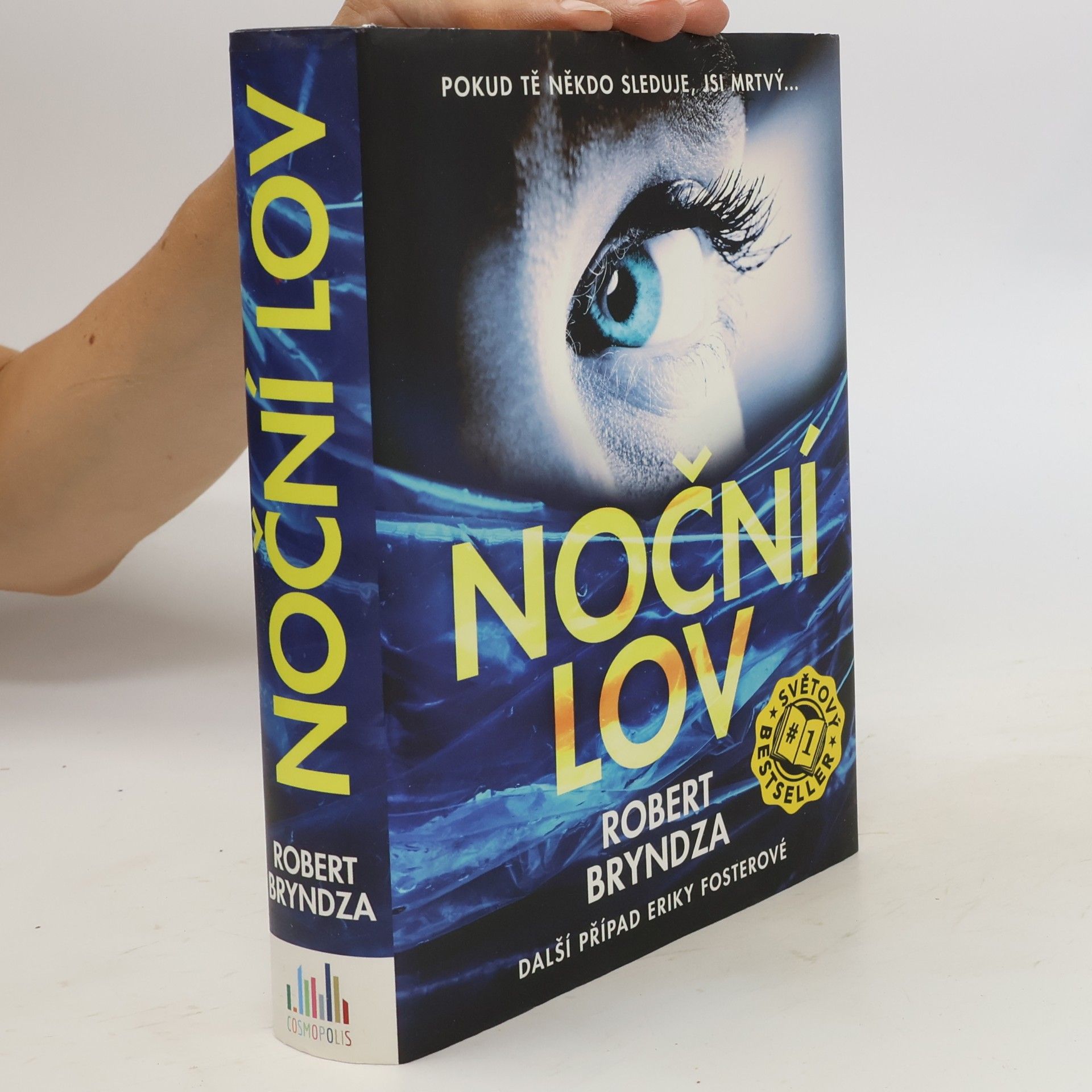 Robert Bryndza Noční lov