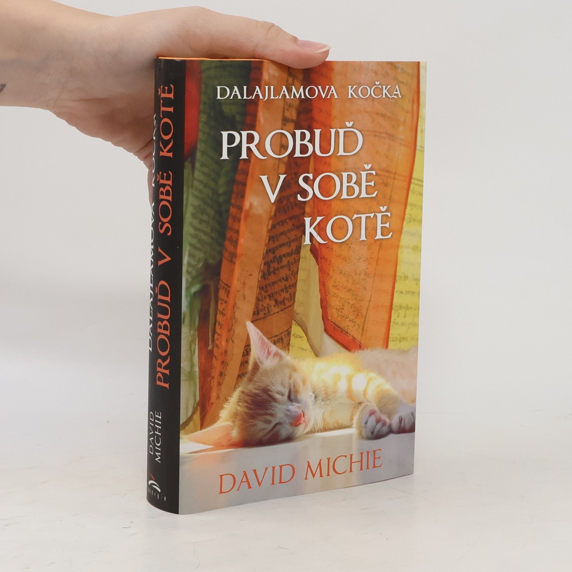 David Michie Dalajlamova kočka - probuď v sobě kotě