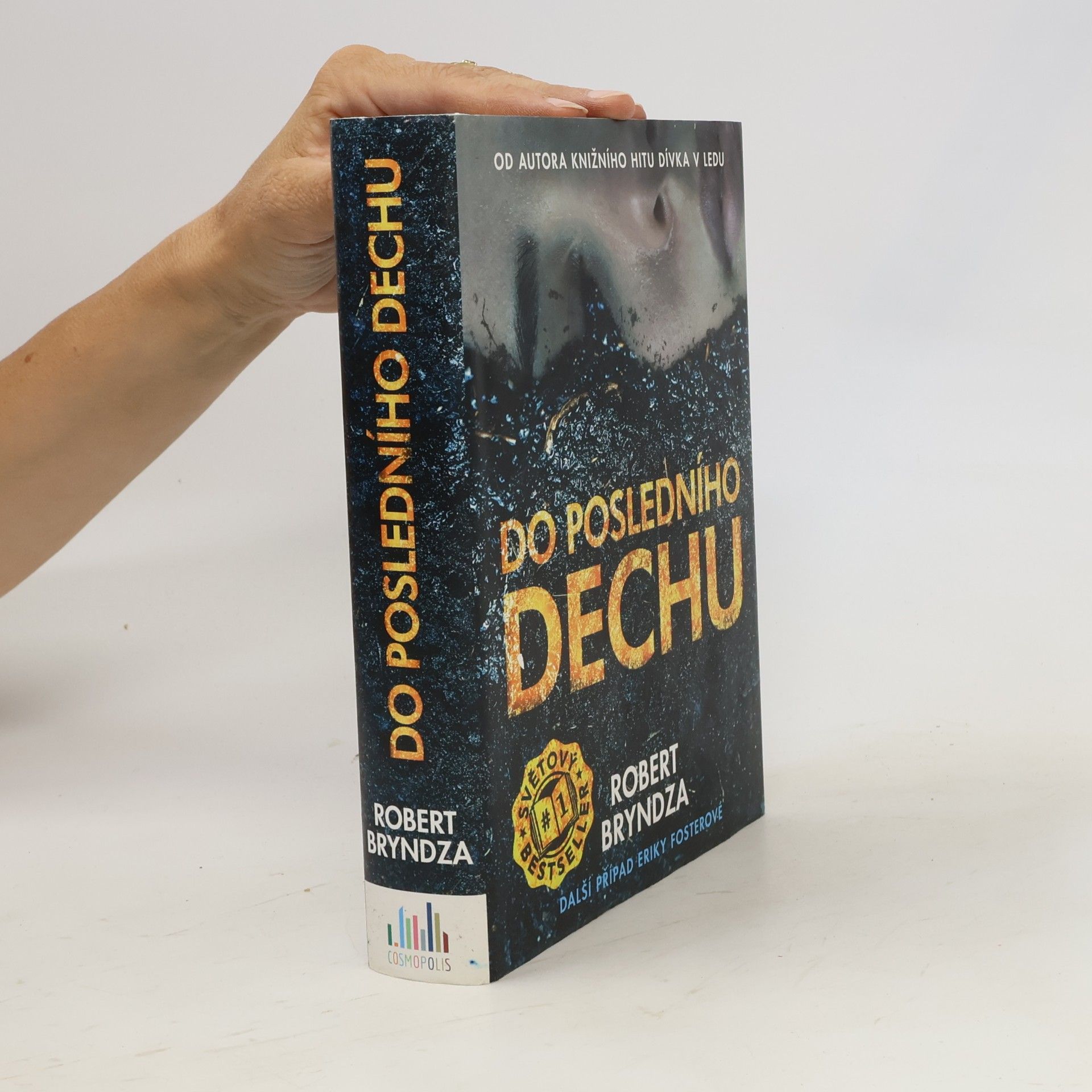 Robert Bryndza Do posledního dechu