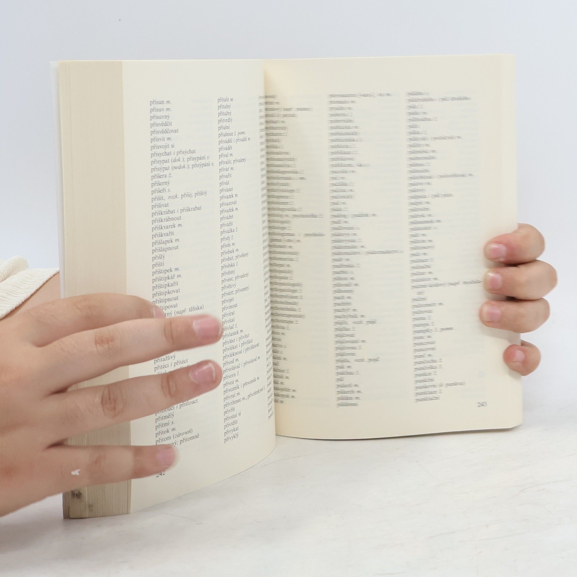 Autorenkollektiv Pravidla českého pravopisu