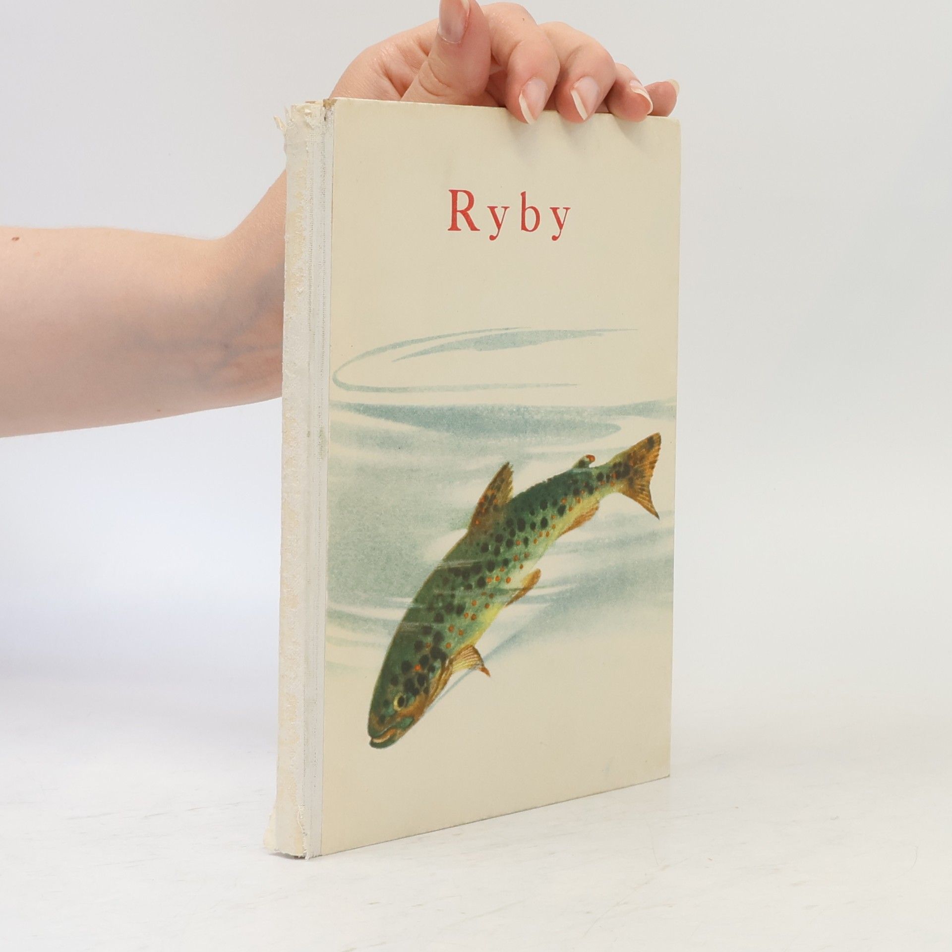 Ryby