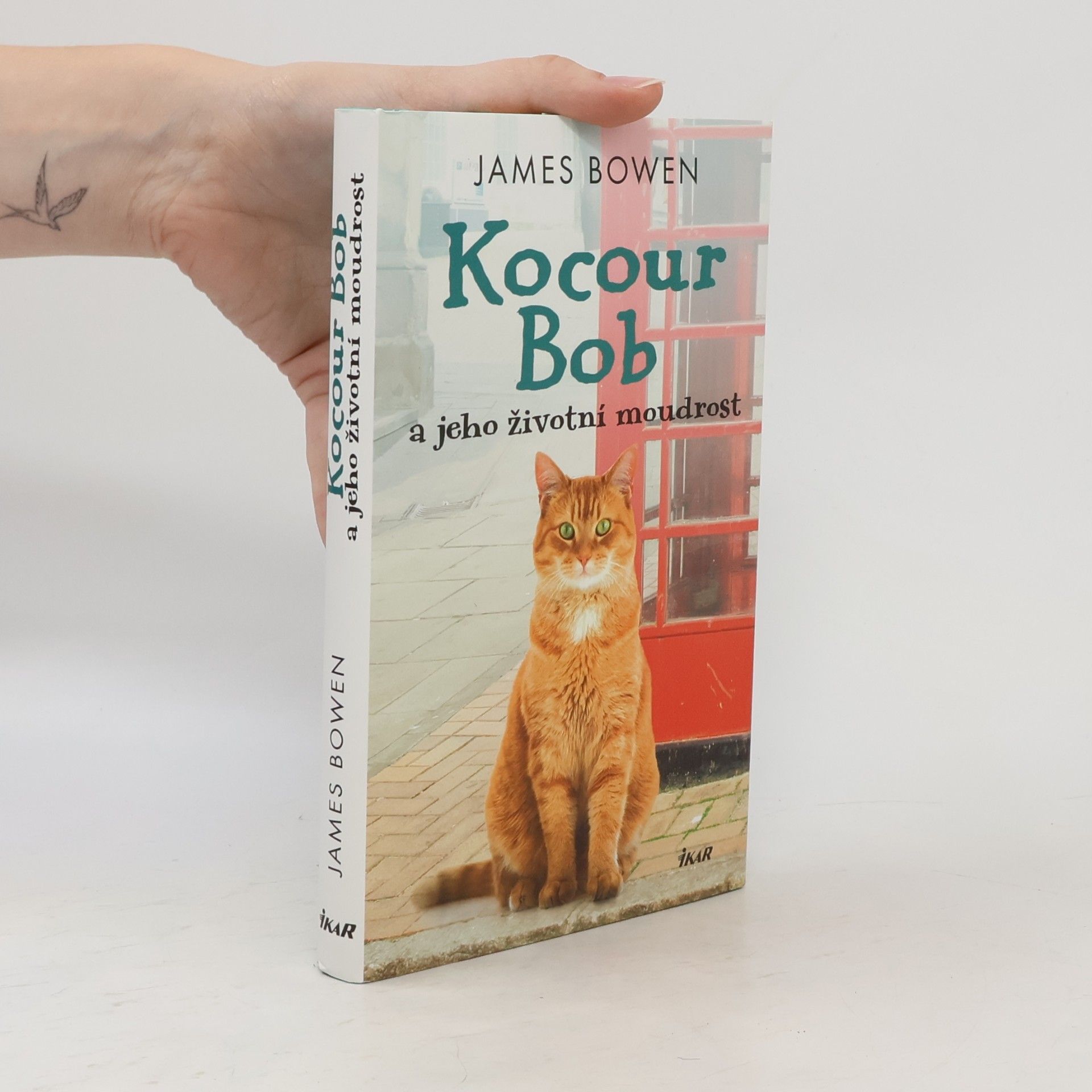 James Bowen Kocour Bob a jeho životní moudrost