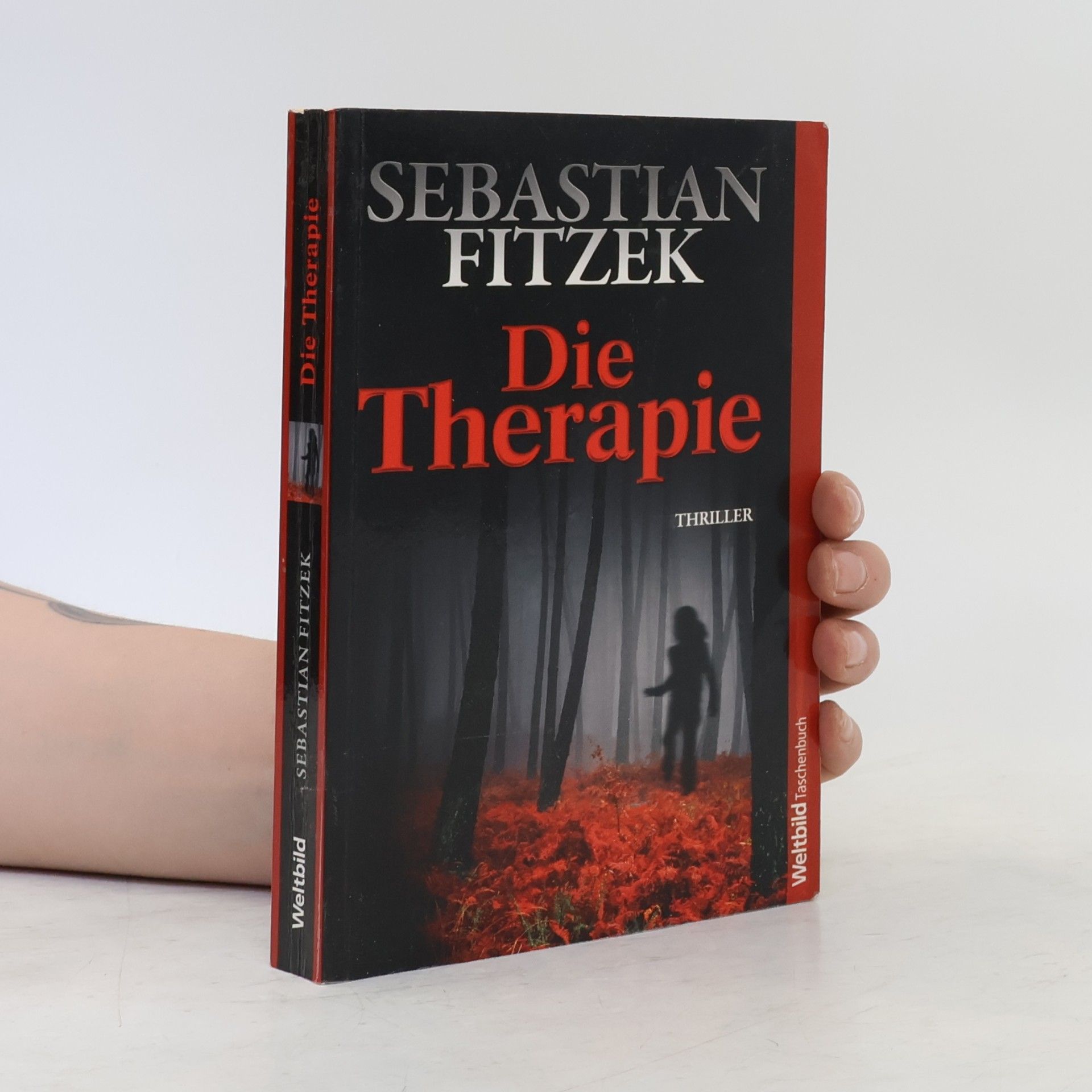 Sebastian Fitzek Die Therapie