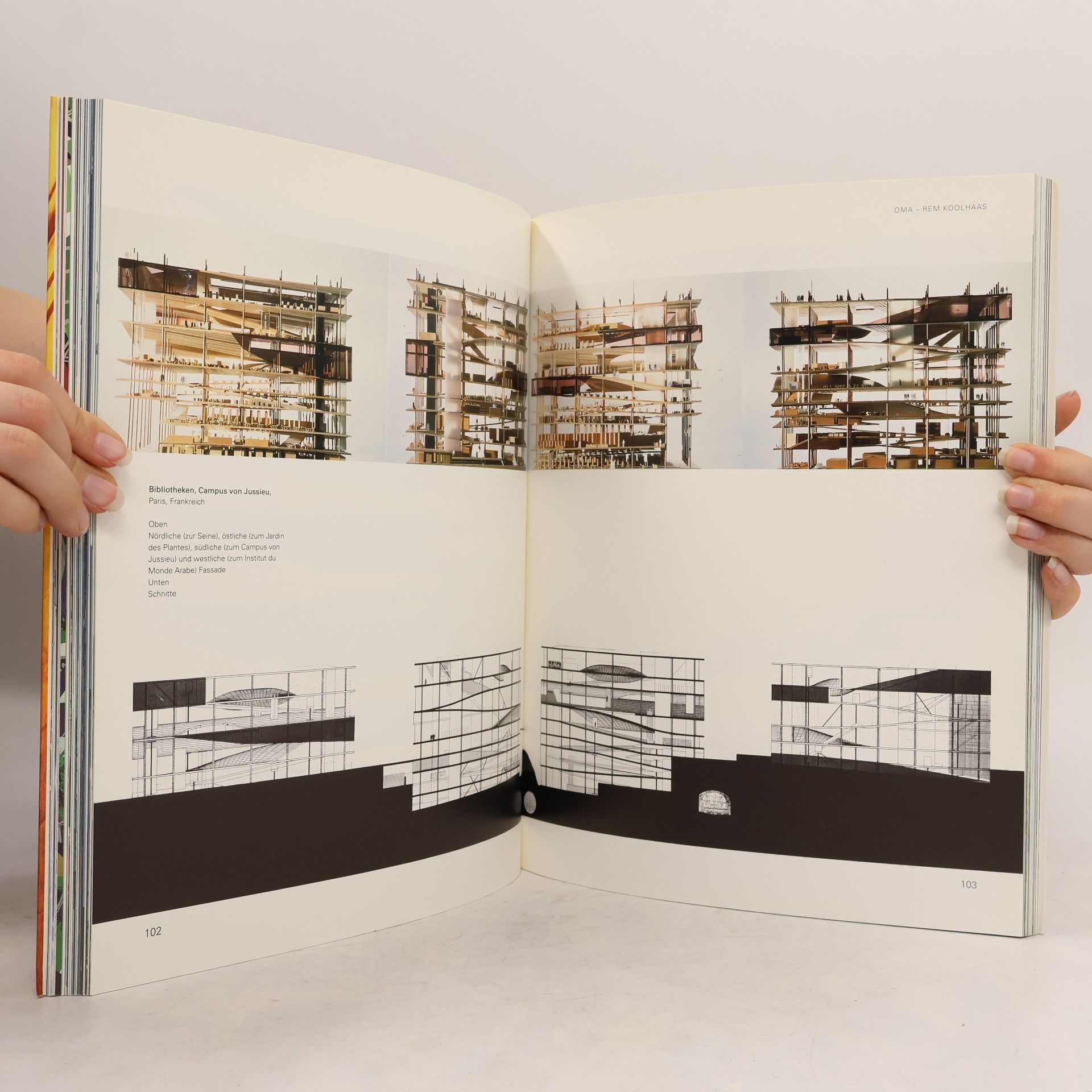 Sheila de Vallée Architektur der Zukunft