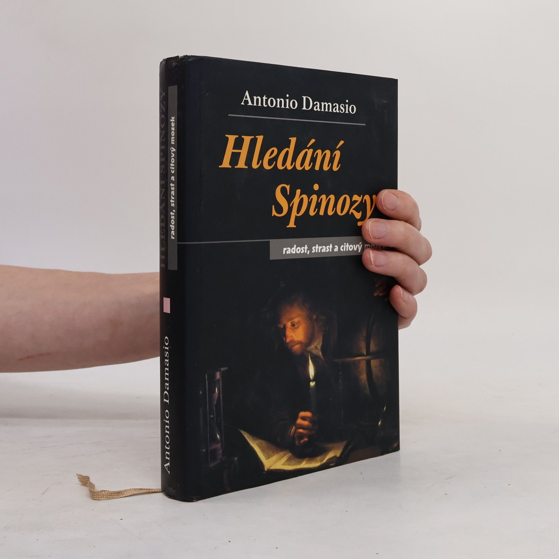 Antonio R. Damasio Hledání Spinozy - radost, strast a citový mozek