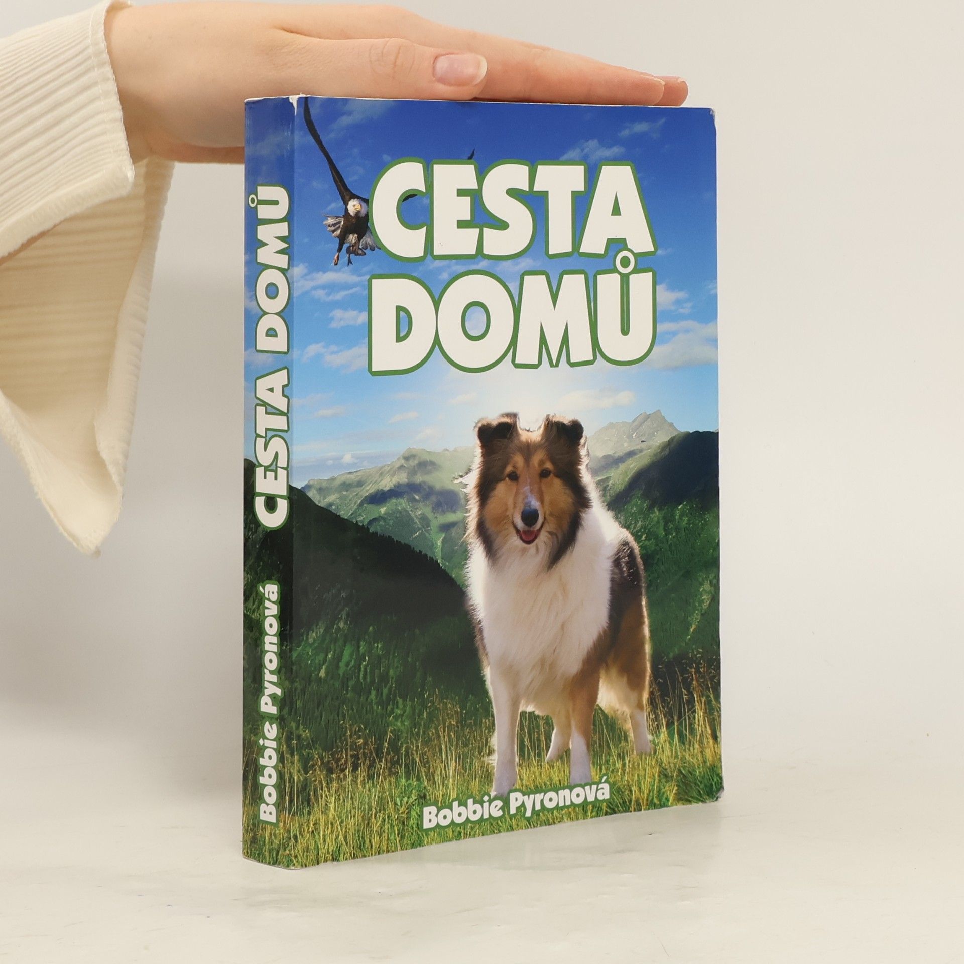 Bobbie Pyron Cesta domů