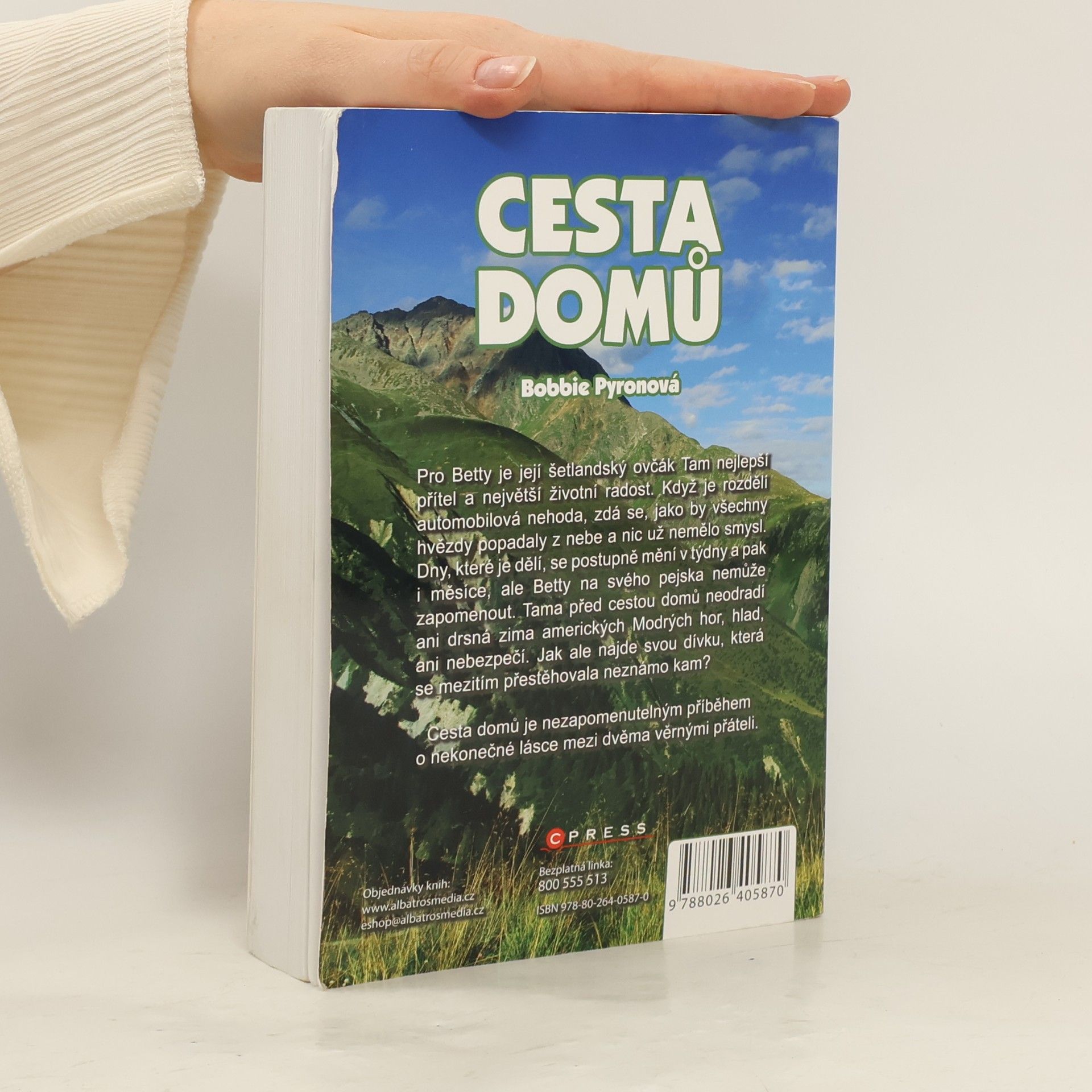 Bobbie Pyron Cesta domů