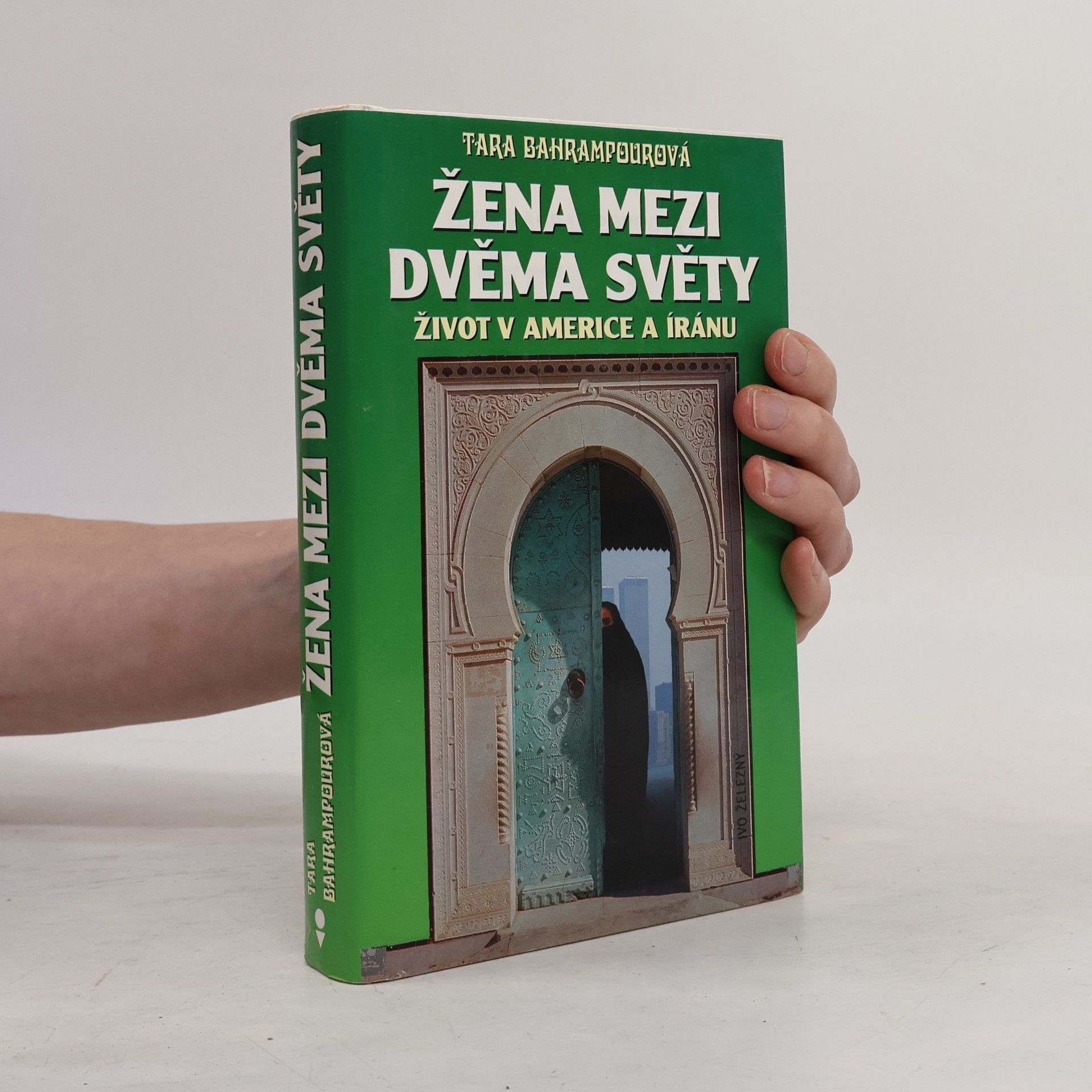 Tara Bahrampour Žena mezi dvěma světy
