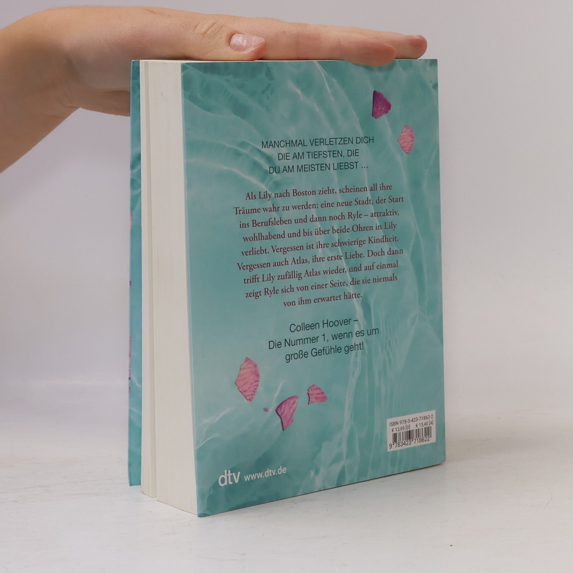 Colleen Hoover Nur noch ein einziges Mal
