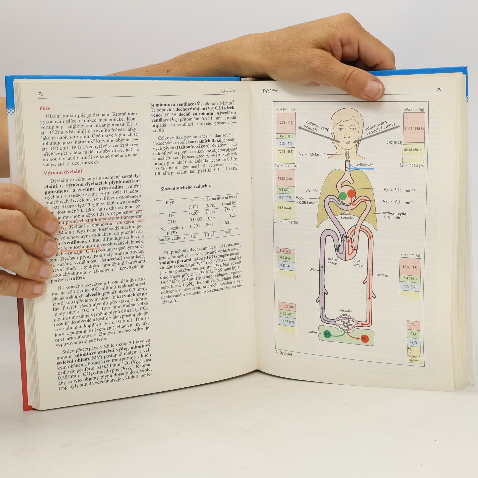 Stefan Silbernagl Atlas fyziologie člověka