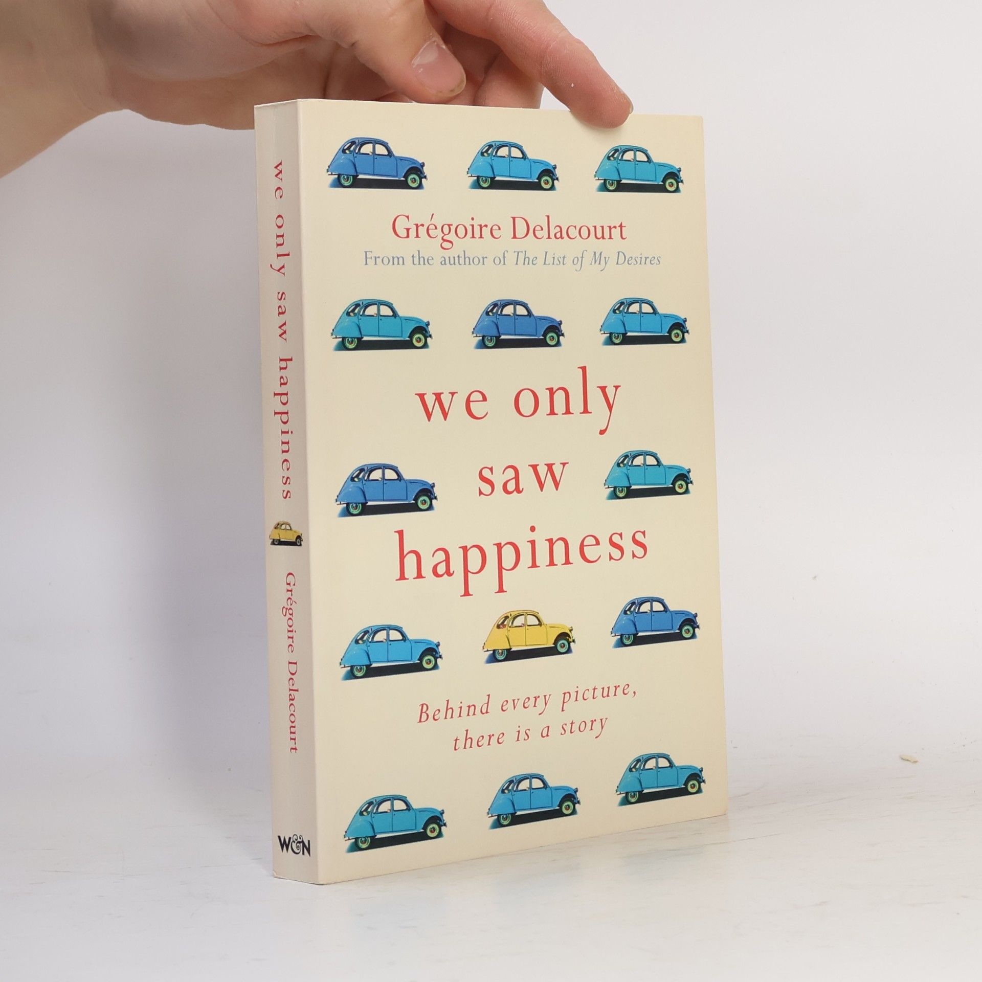 Anthea Bell We Only Saw Happiness