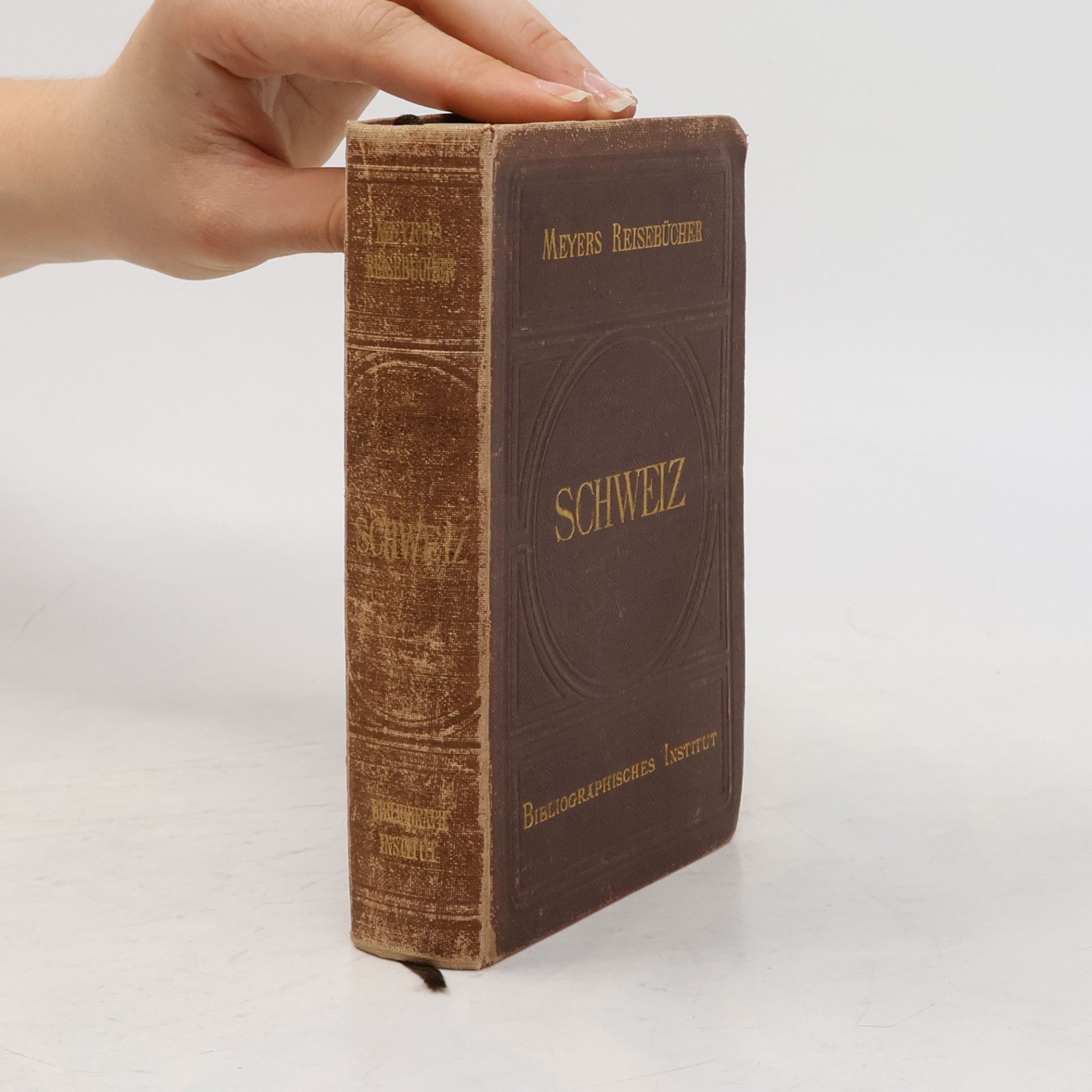 nezn. Meyers Reisebücher. Schweiz