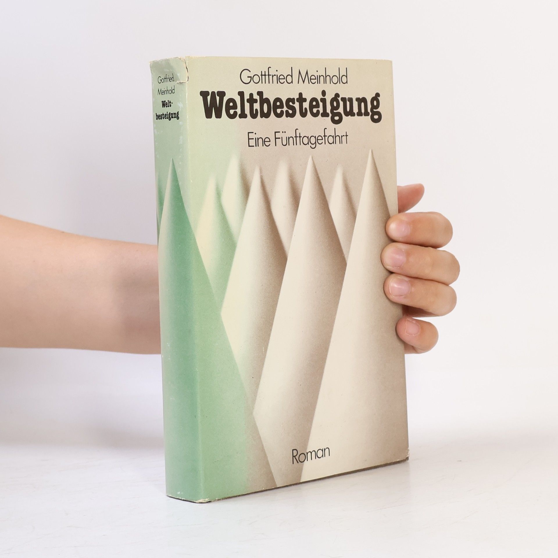 Gottfried Meinhold Weltbesteigung. Eine Fünftagefahrt