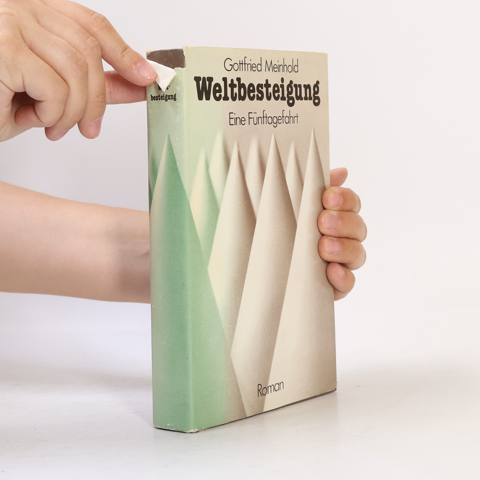 Gottfried Meinhold Weltbesteigung. Eine Fünftagefahrt