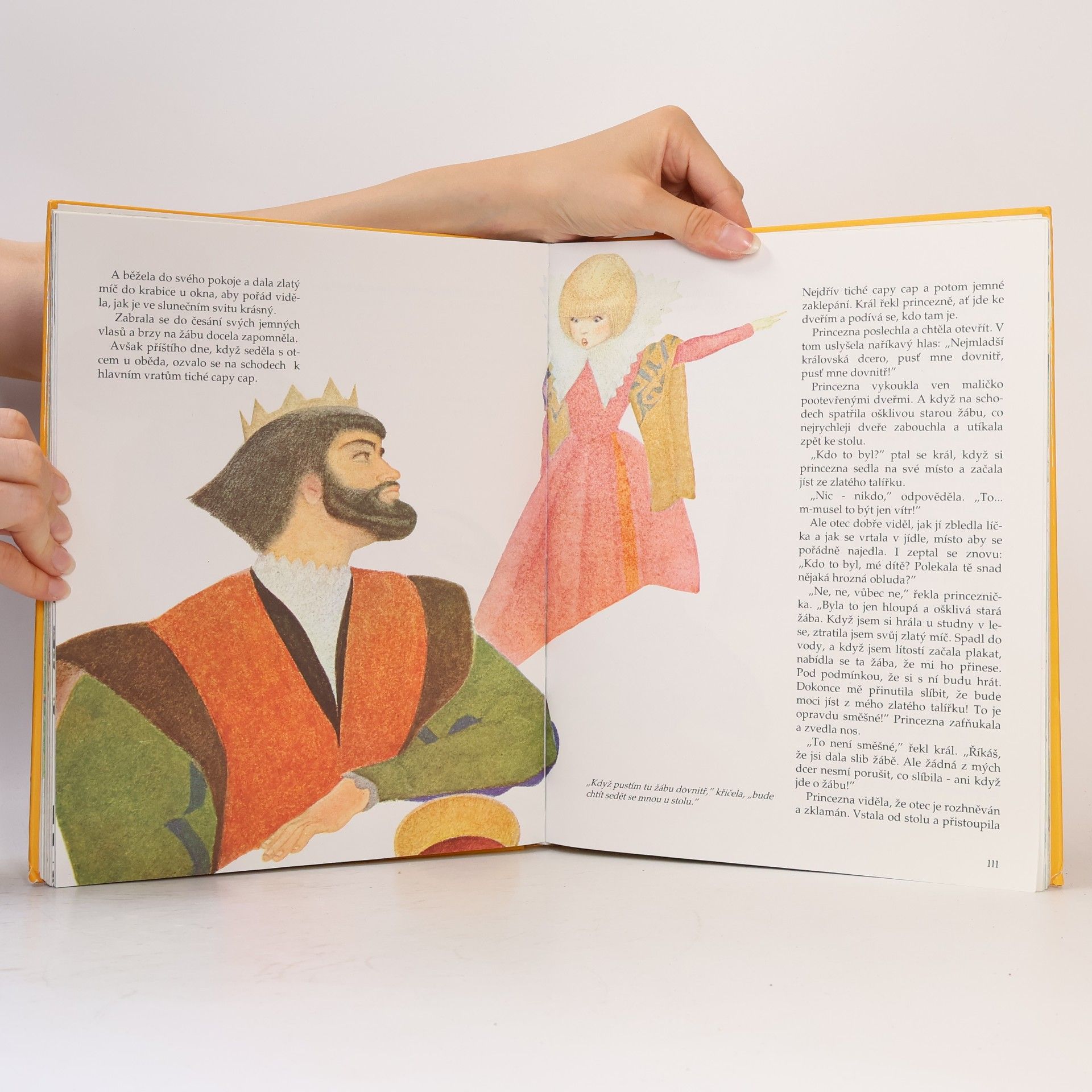 Jacob Grimm Nejkrásnější pohádky bratří Grimmů a H. Ch. Andersena