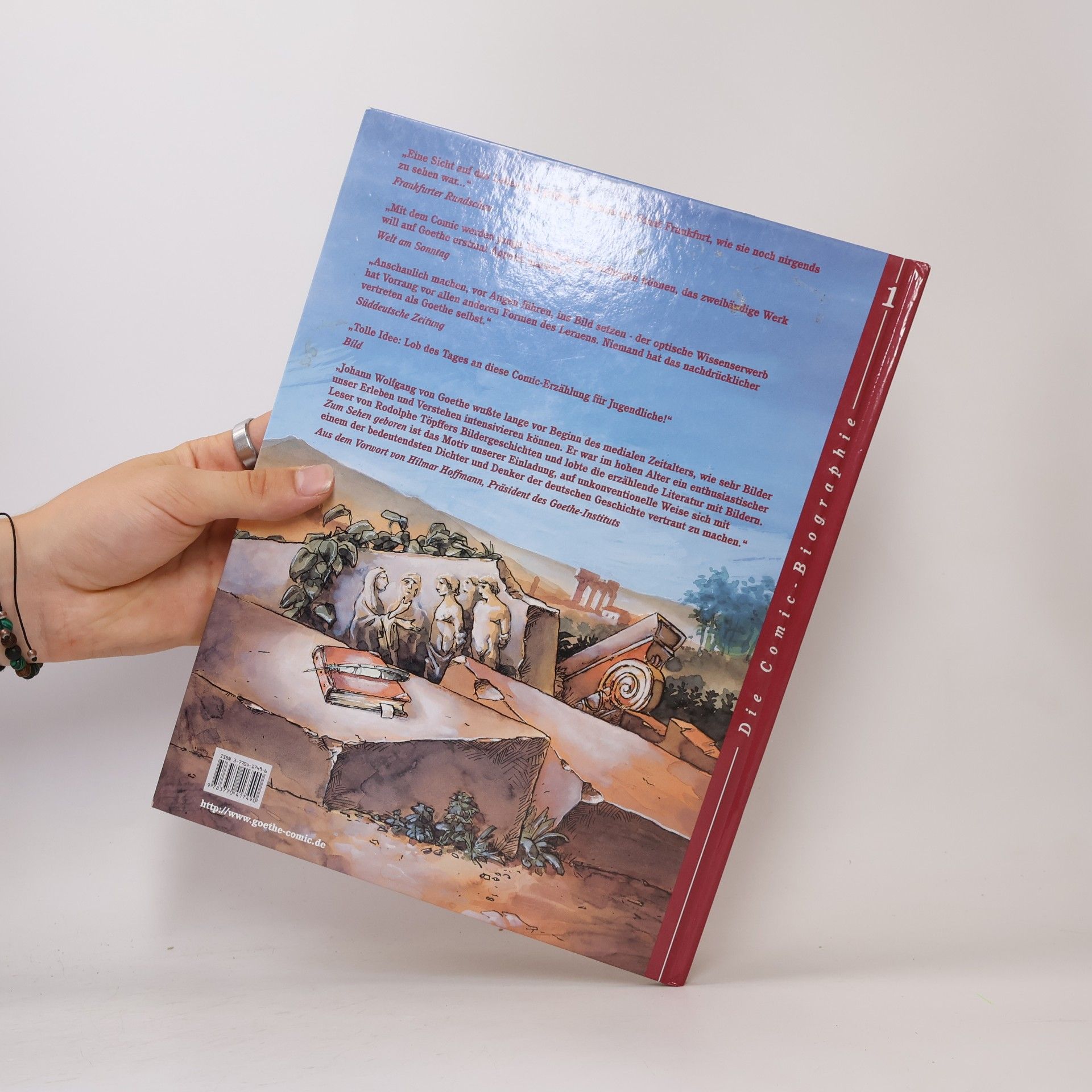 Friedemann Beduerftig Goethe: Die Comic-Biographie