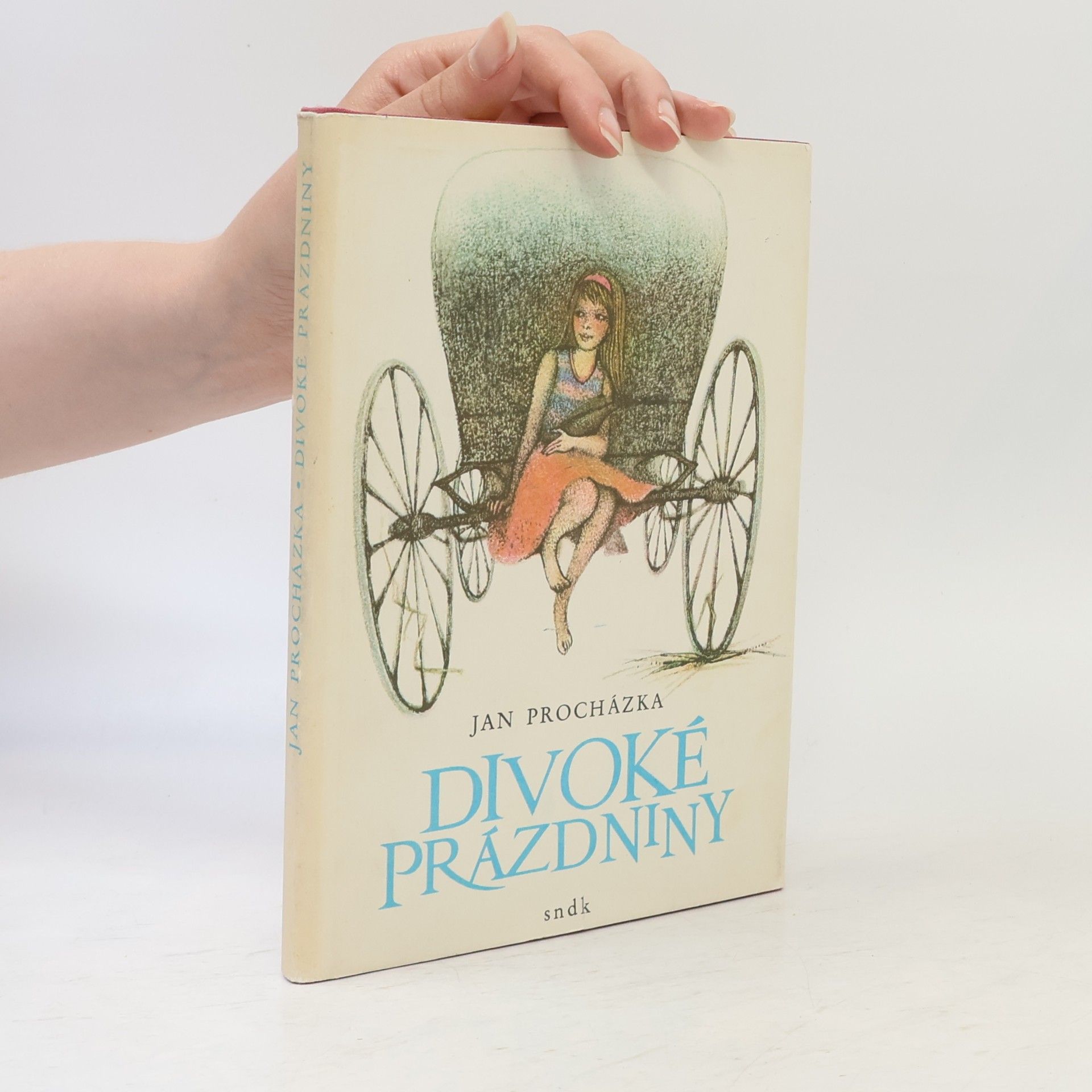 Jan Procházka Divoké prázdniny