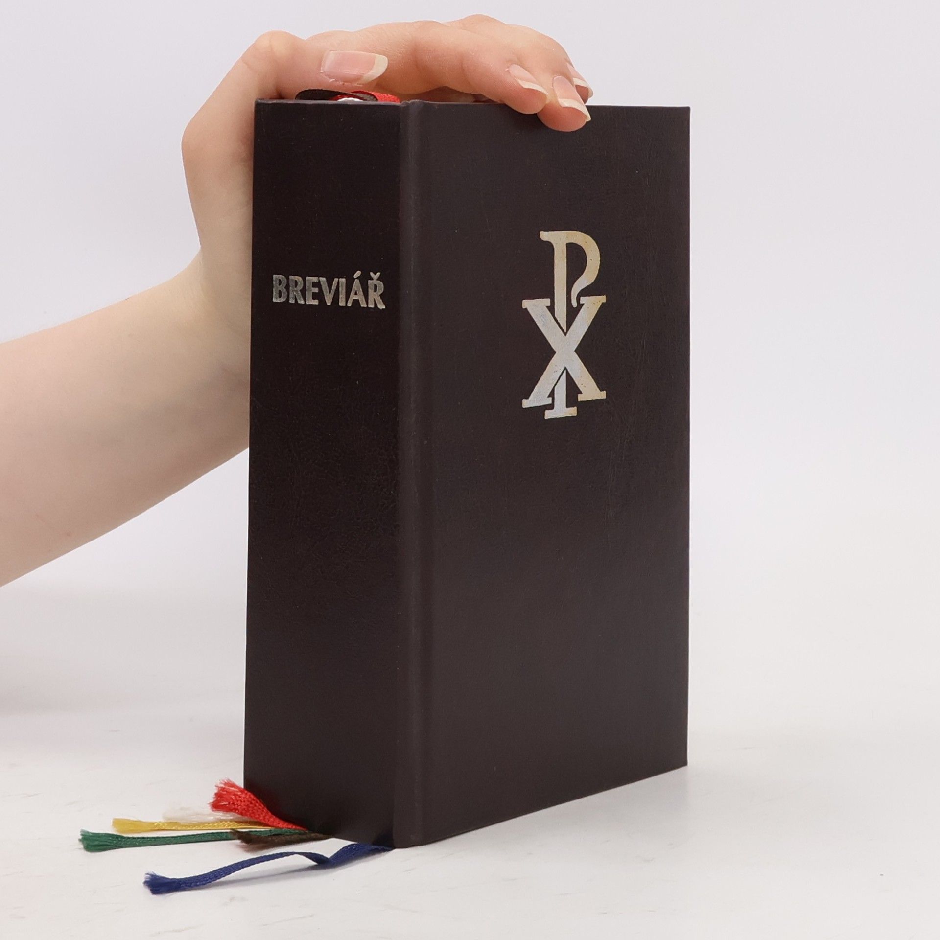 Kolektiv autorů Breviář - Denní modlitba církve