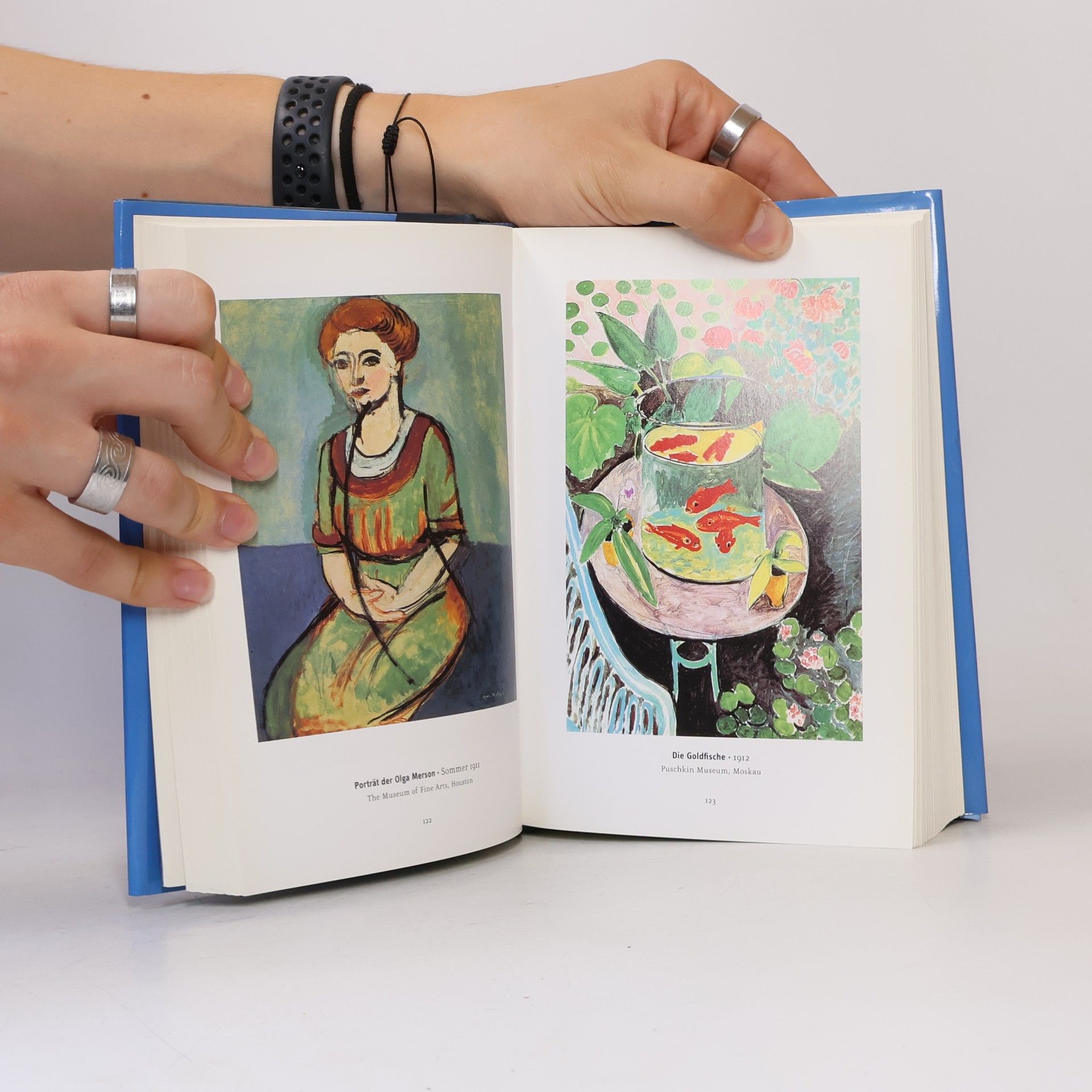 Henri Matisse Matisse kompakt