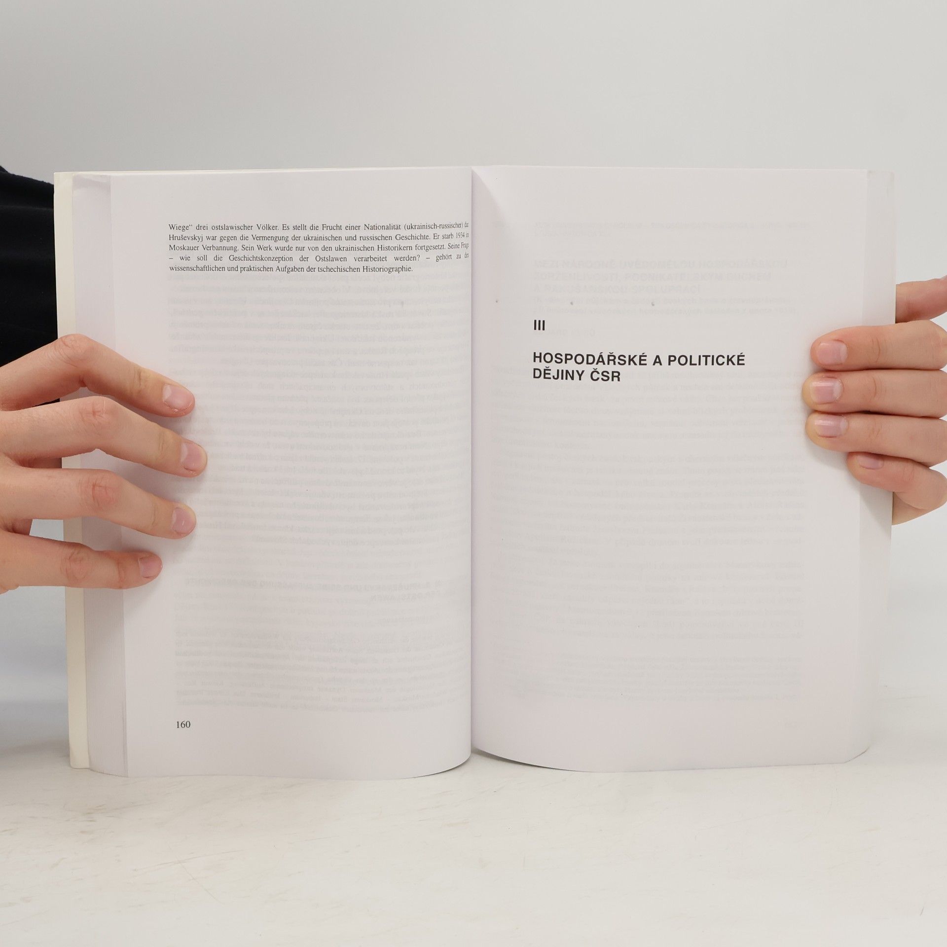 Autorenkollektiv Střední a východní Evropa v krizi XX. století
