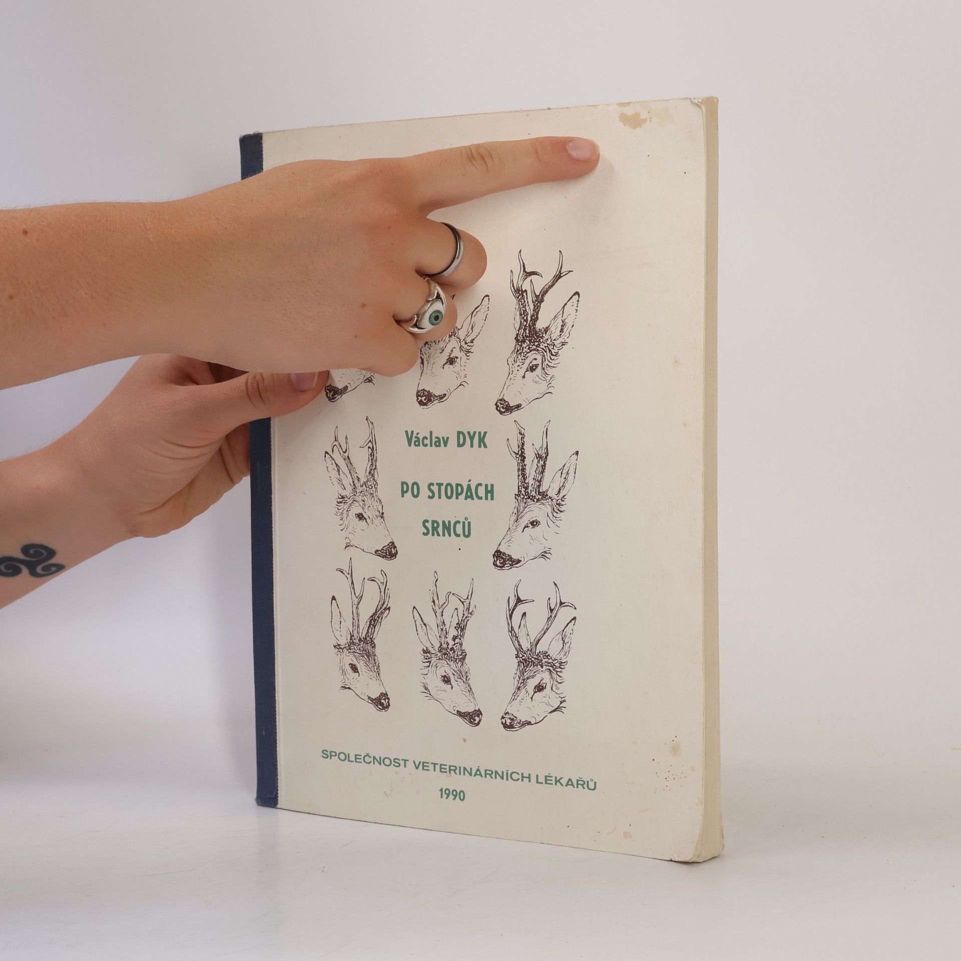 Václav Dyk Po stopách srnců