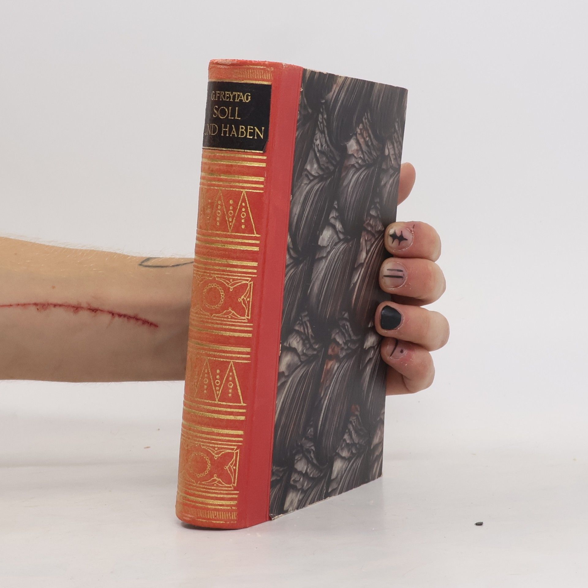 Gustav Freytag Soll und Haben. Roman in sechs Büchern