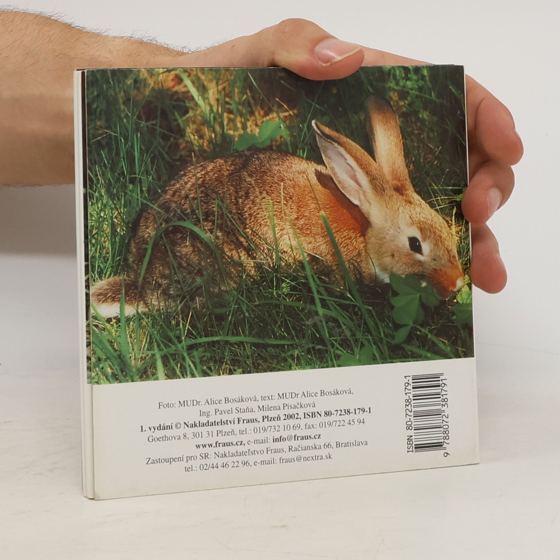 Alice Bosáková Králičkovia