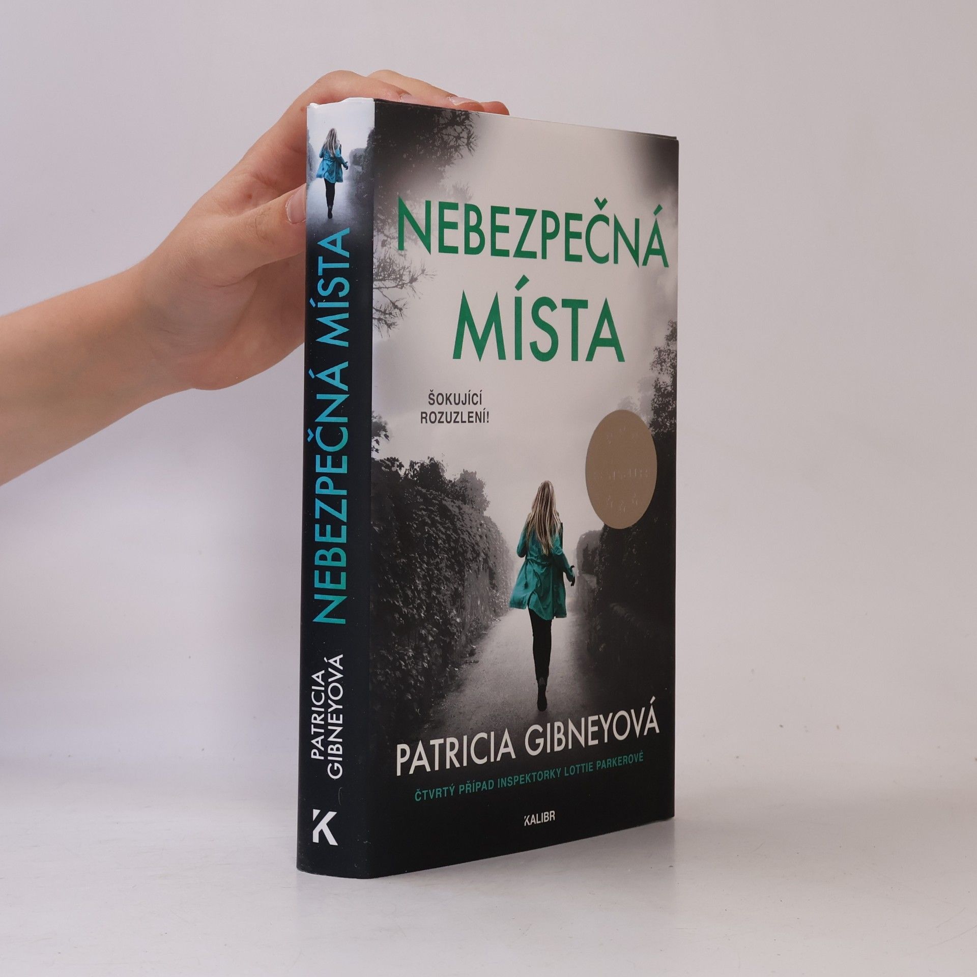Patricia Gibney Nebezpečná místa