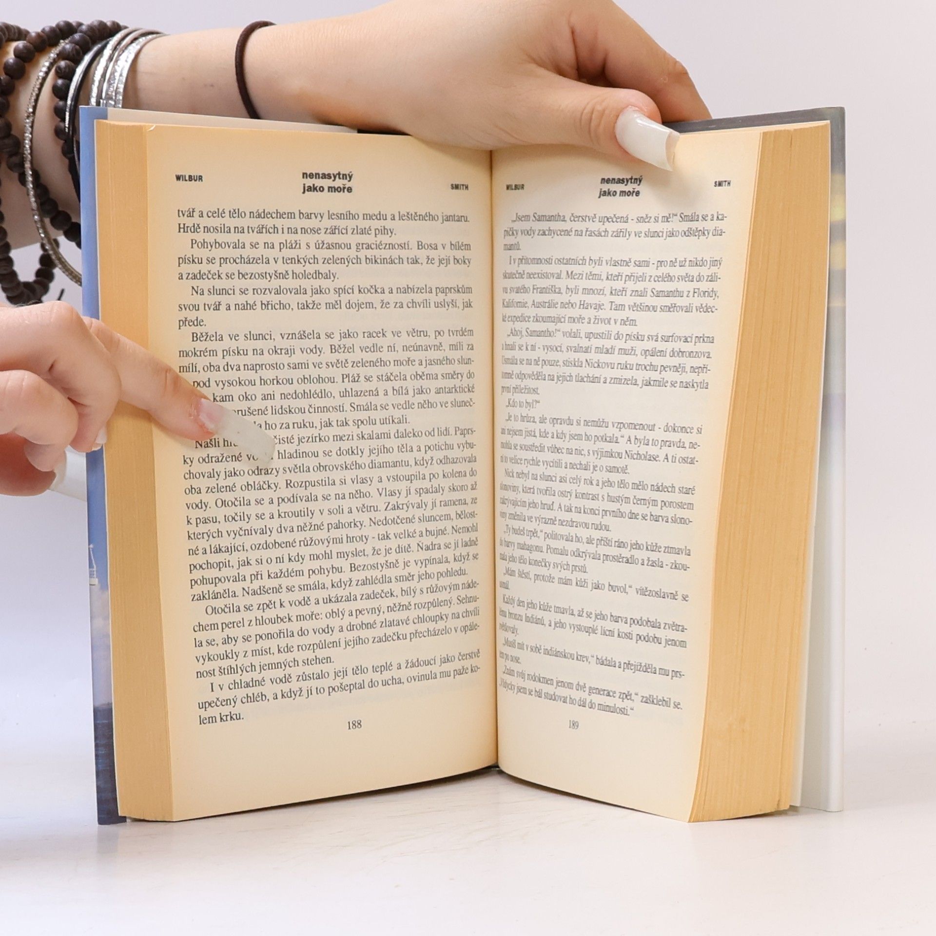 Wilbur Smith Nenasytný jako moře