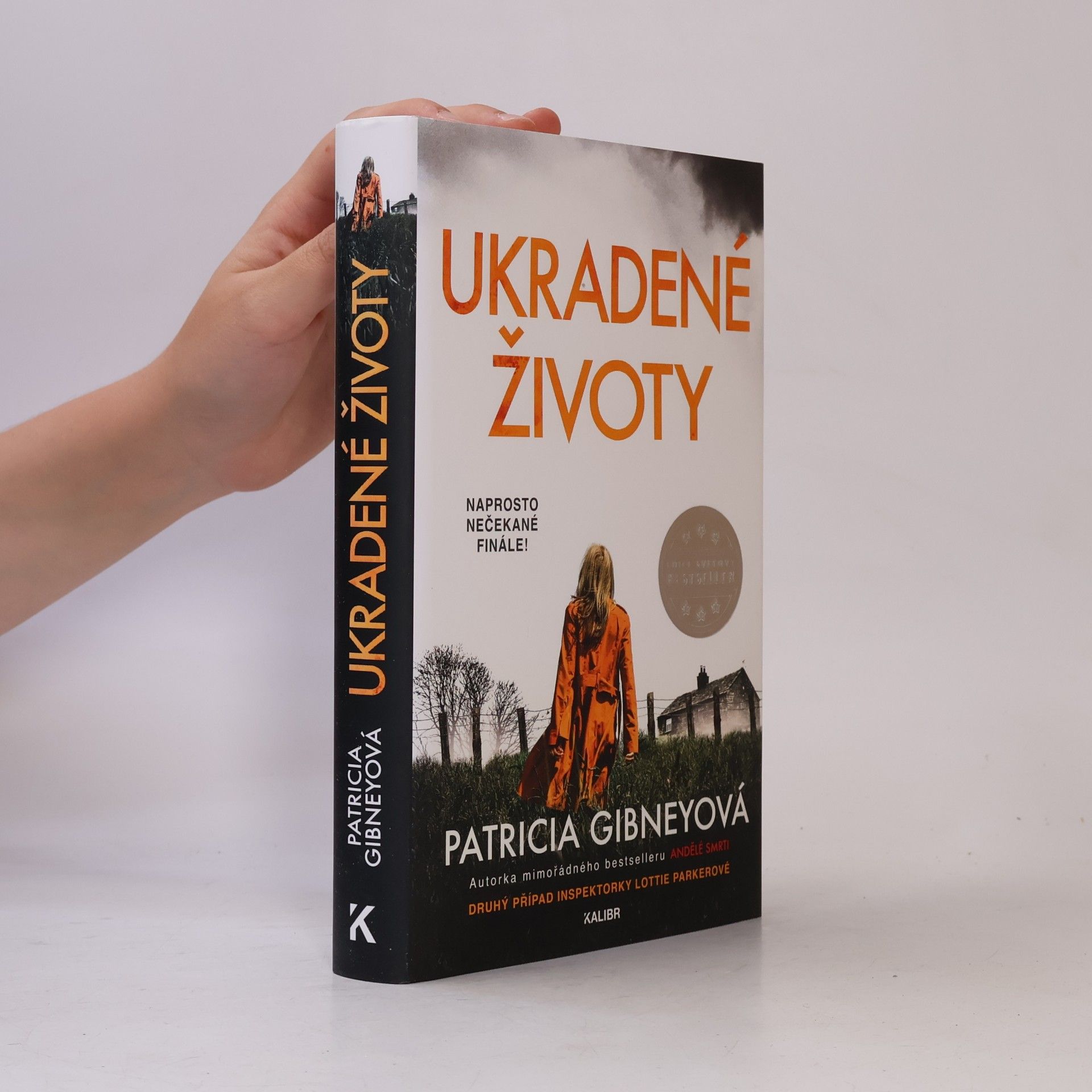 Patricia Gibney Ukradené životy