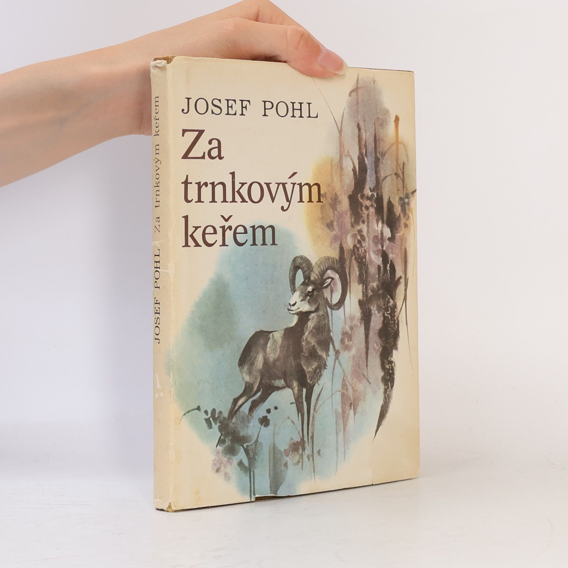 Josef Pohl Za trnkovým keřem