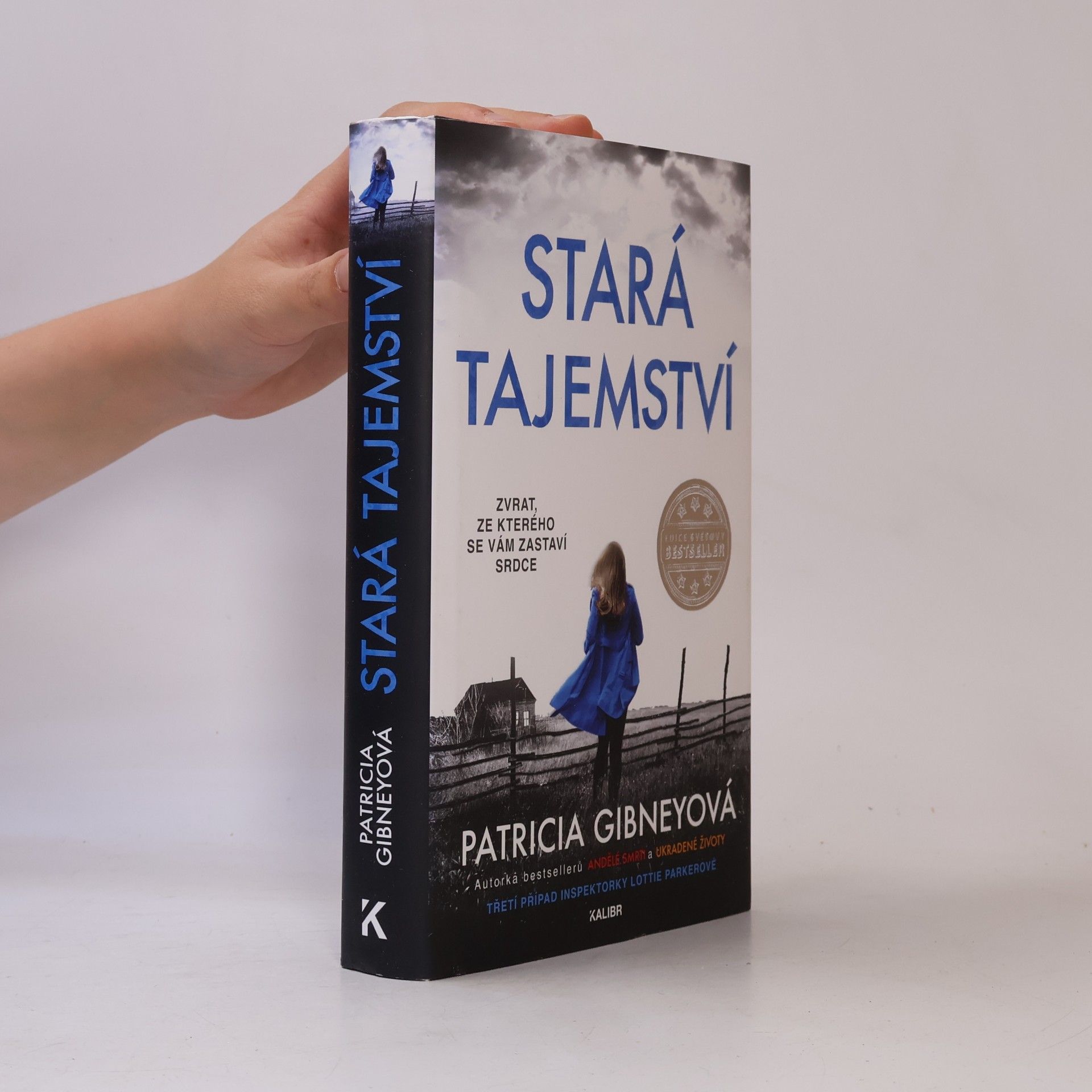 Patricia Gibney Stará tajemství