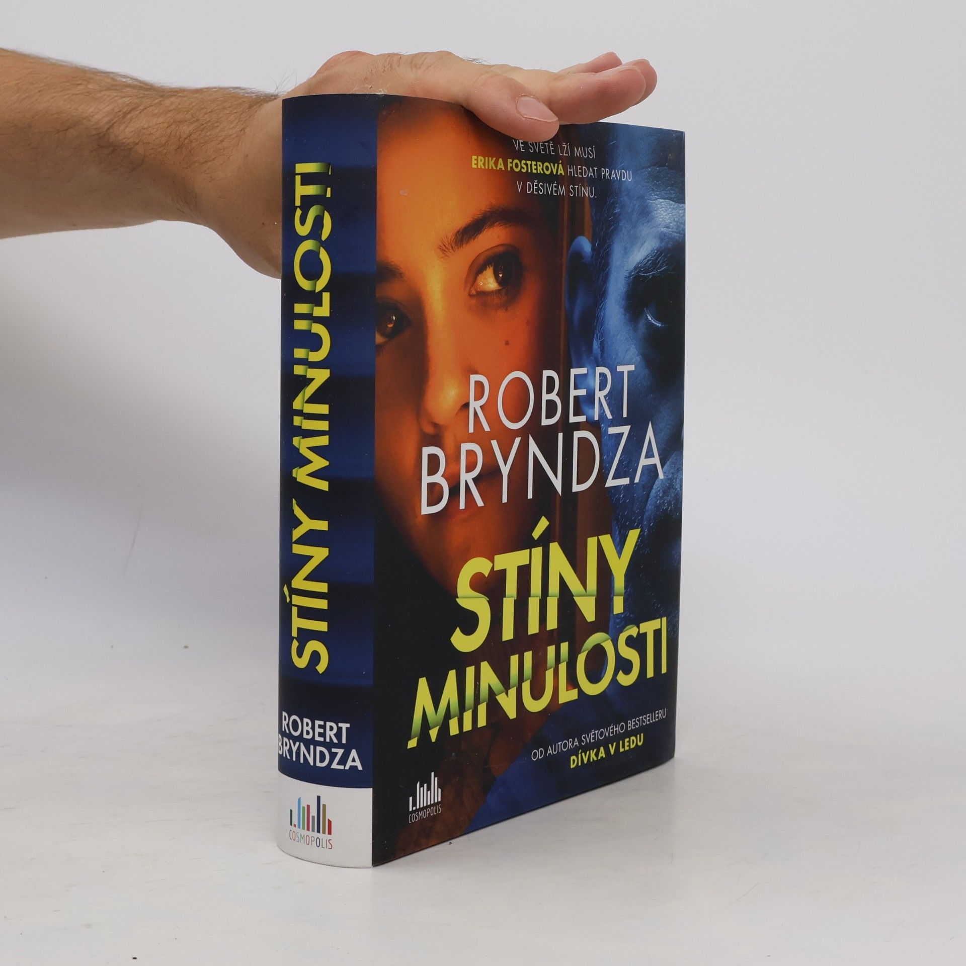 Robert Bryndza Stíny minulosti