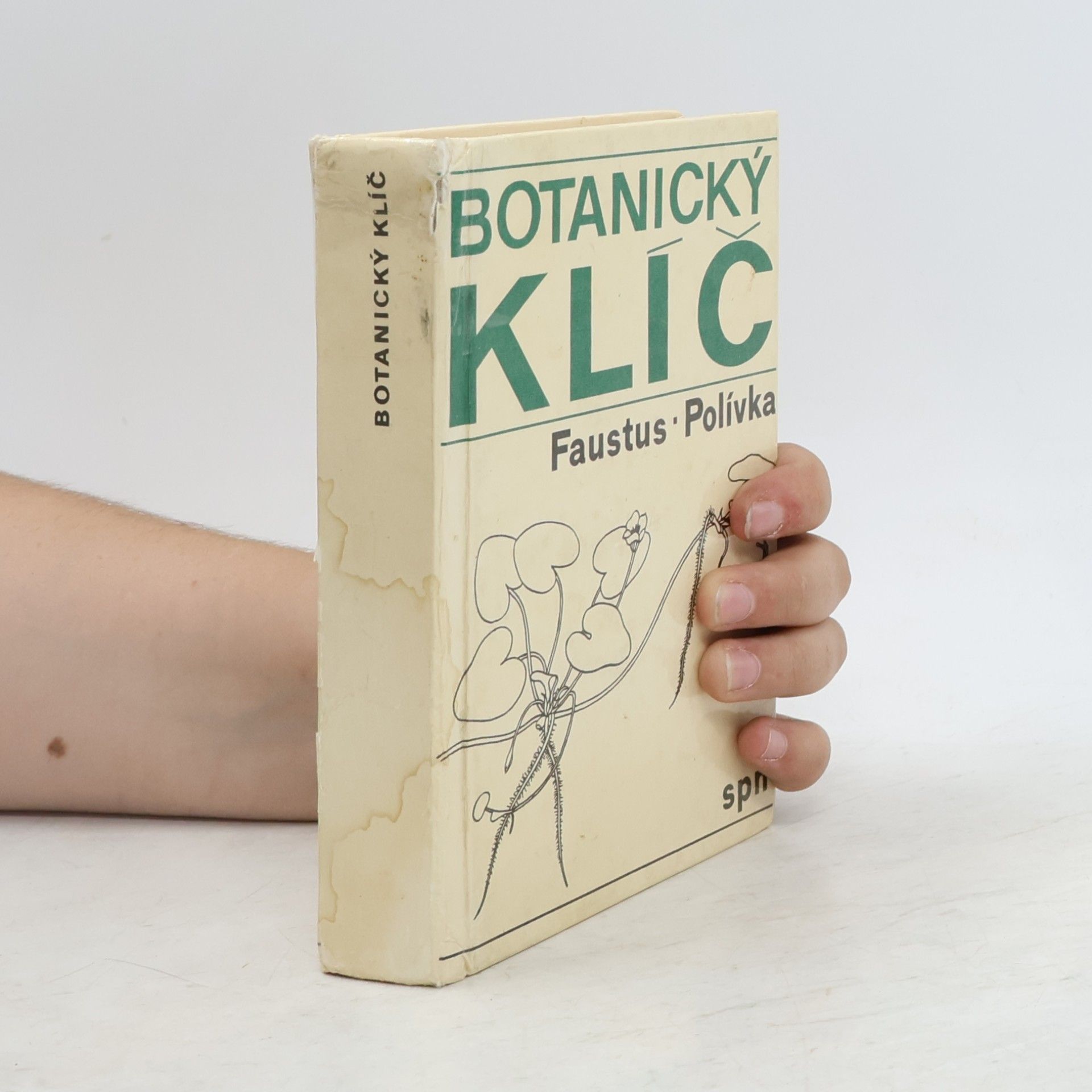 Botanický klíč