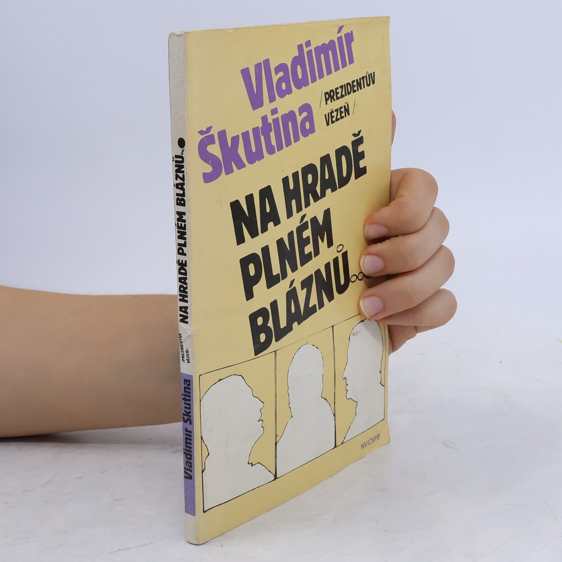 Vladimír Škutina Na hradě plném bláznů