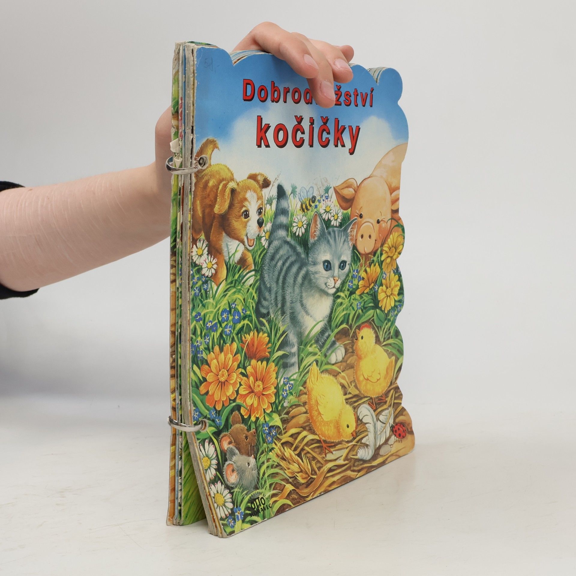 Linda Birkenshaw Dobrodružství kočičky
