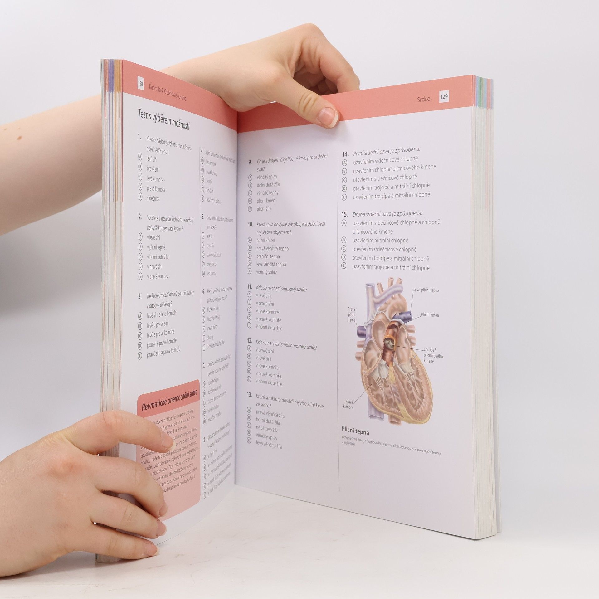 Ken Ashwell Cvičebnice anatomie pro studenty : otestujte si a upevněte si své anatomické znalosti