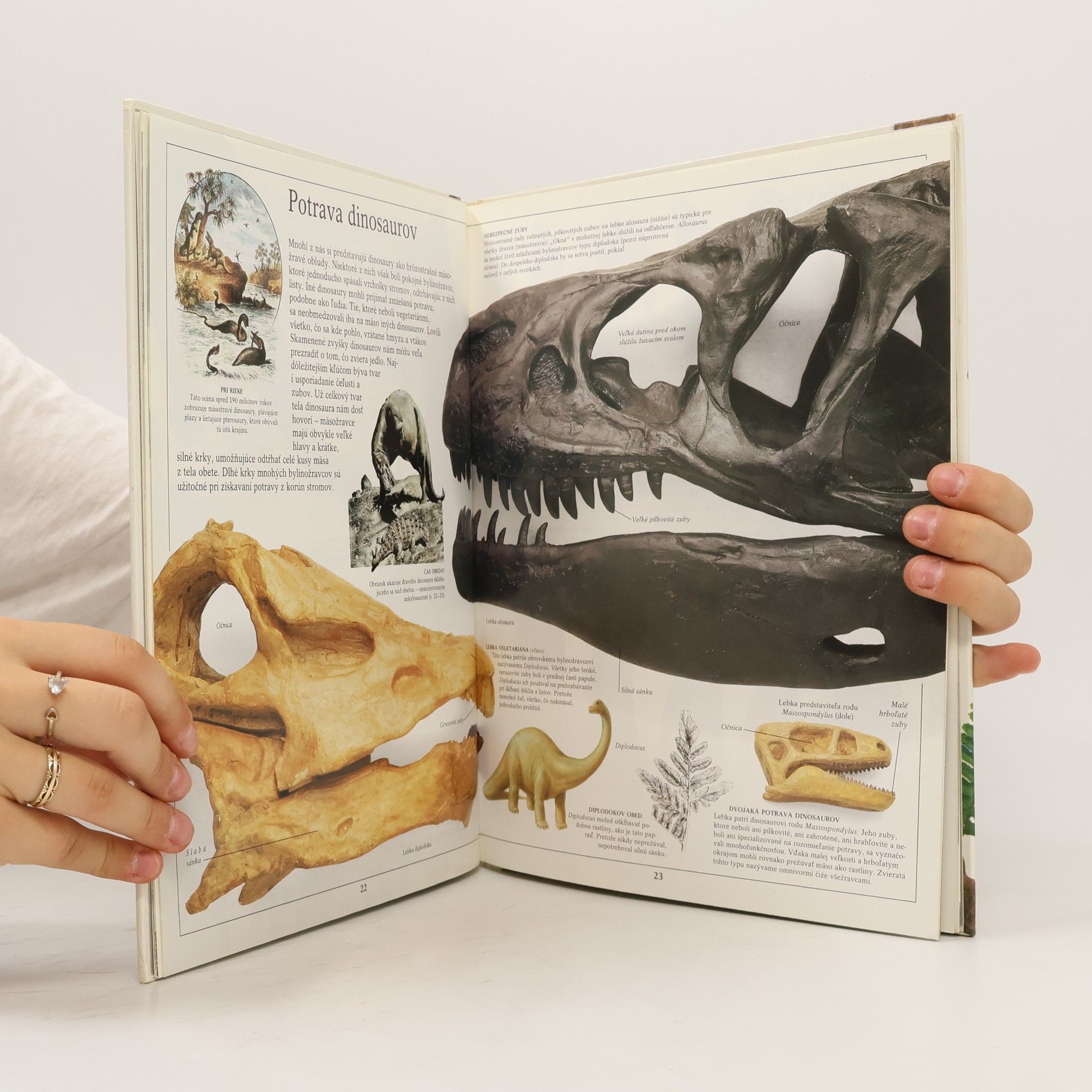 David Norman Vidieť, poznať, vedieť. Dinosaury