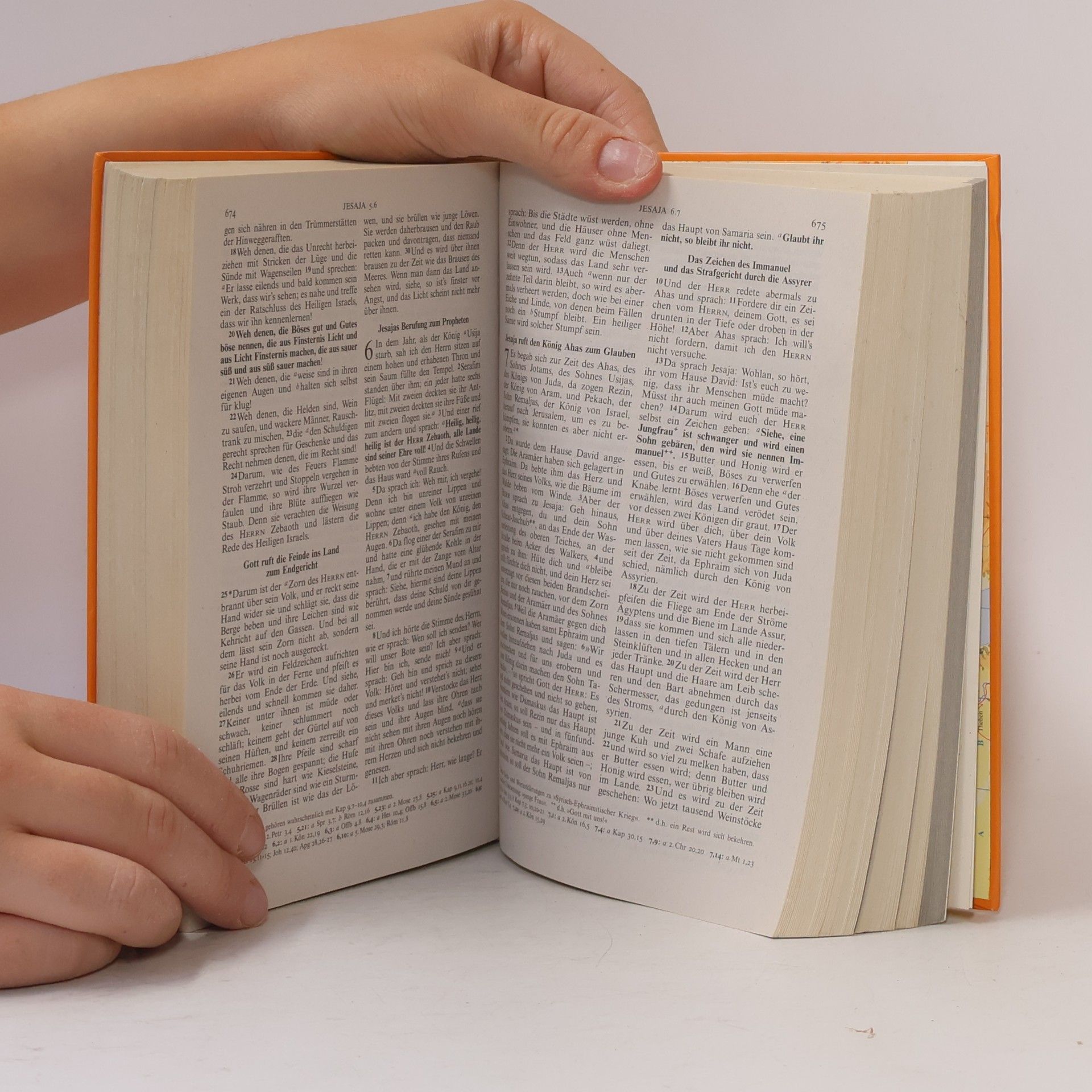 Martin Luther Die Bibel