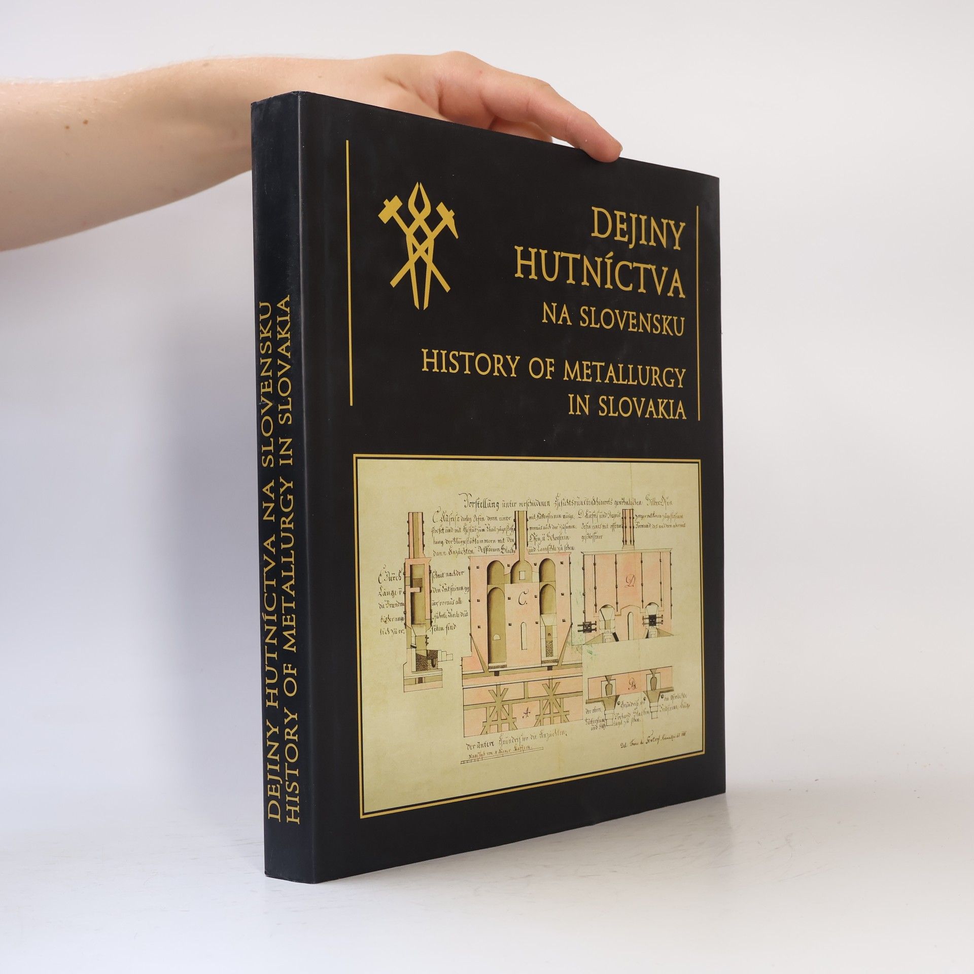 Luboš Weigner Dejiny hutníctva na Slovensku. History of metallurgy in Slovakia