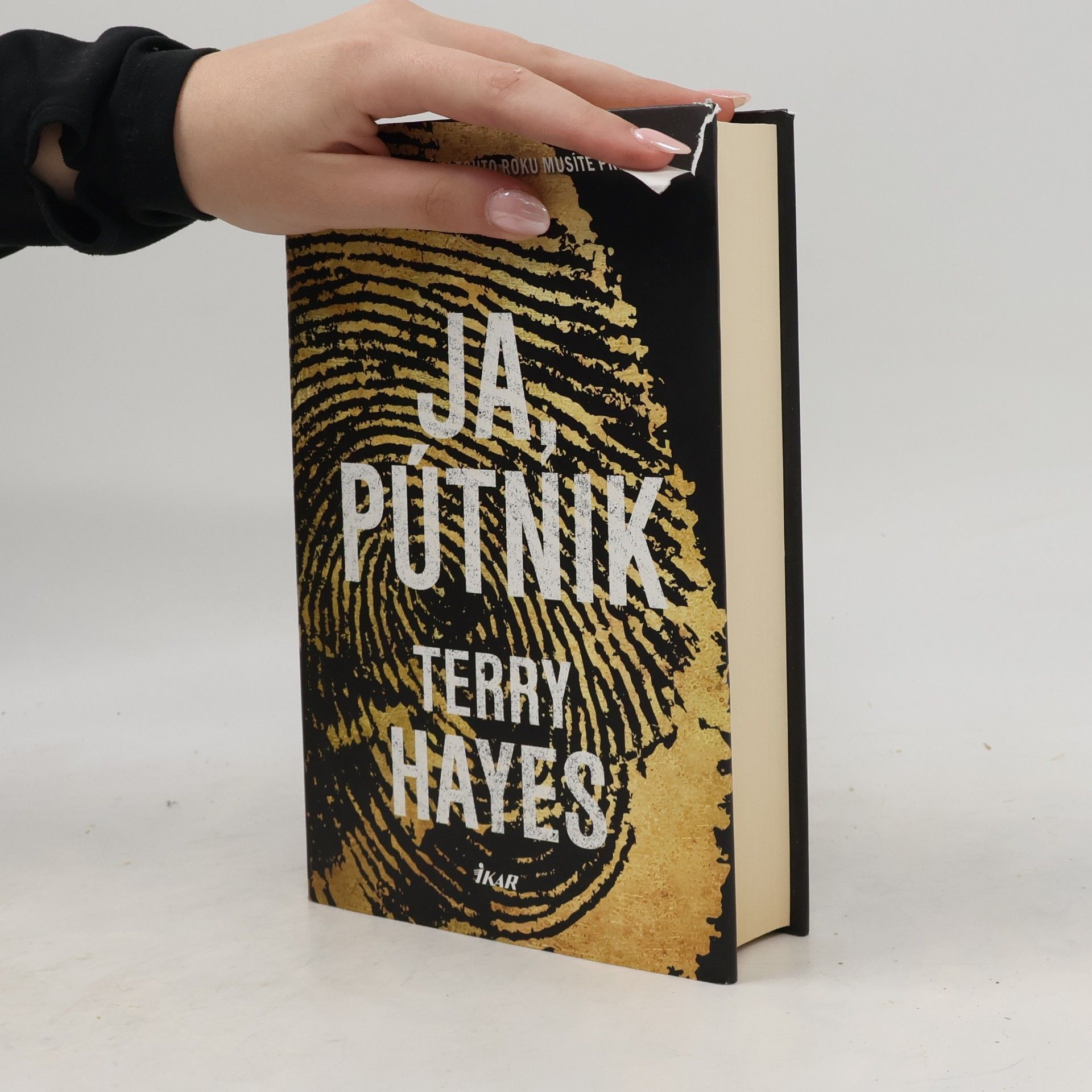Terry Hayes Ja, Pútnik