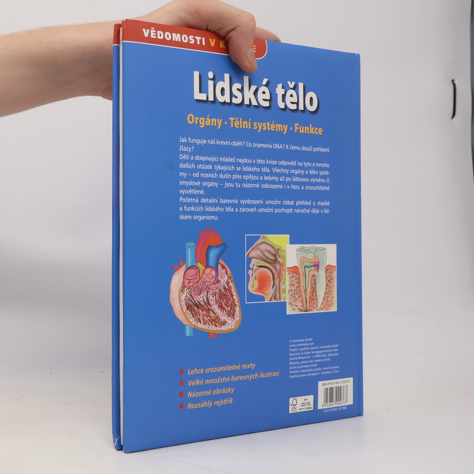 Autorenkollektiv Lidské tělo. Orgány. Tělní systémy. Funkce
