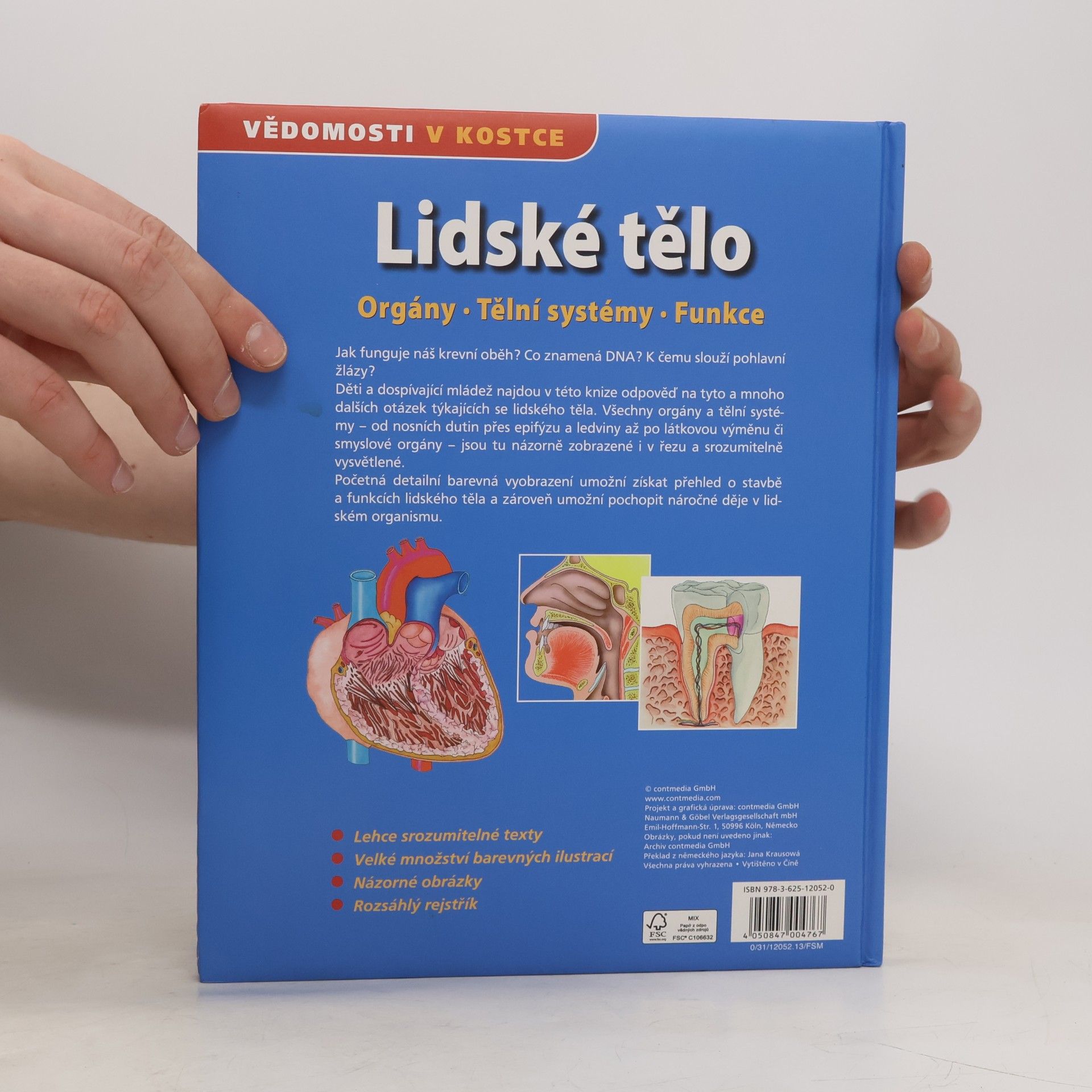 Autorenkollektiv Lidské tělo. Orgány. Tělní systémy. Funkce