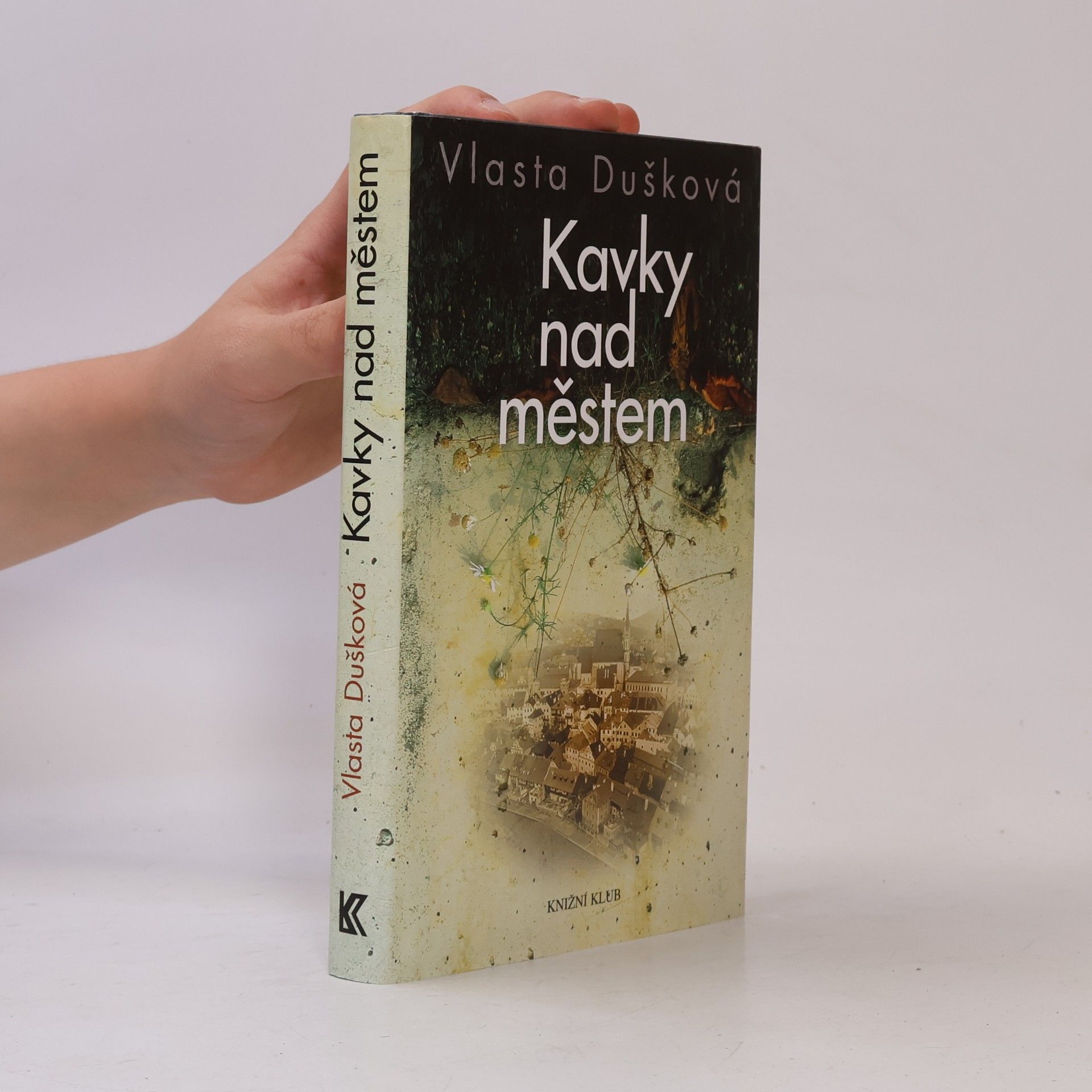 Vlasta Dušková Kavky nad městem
