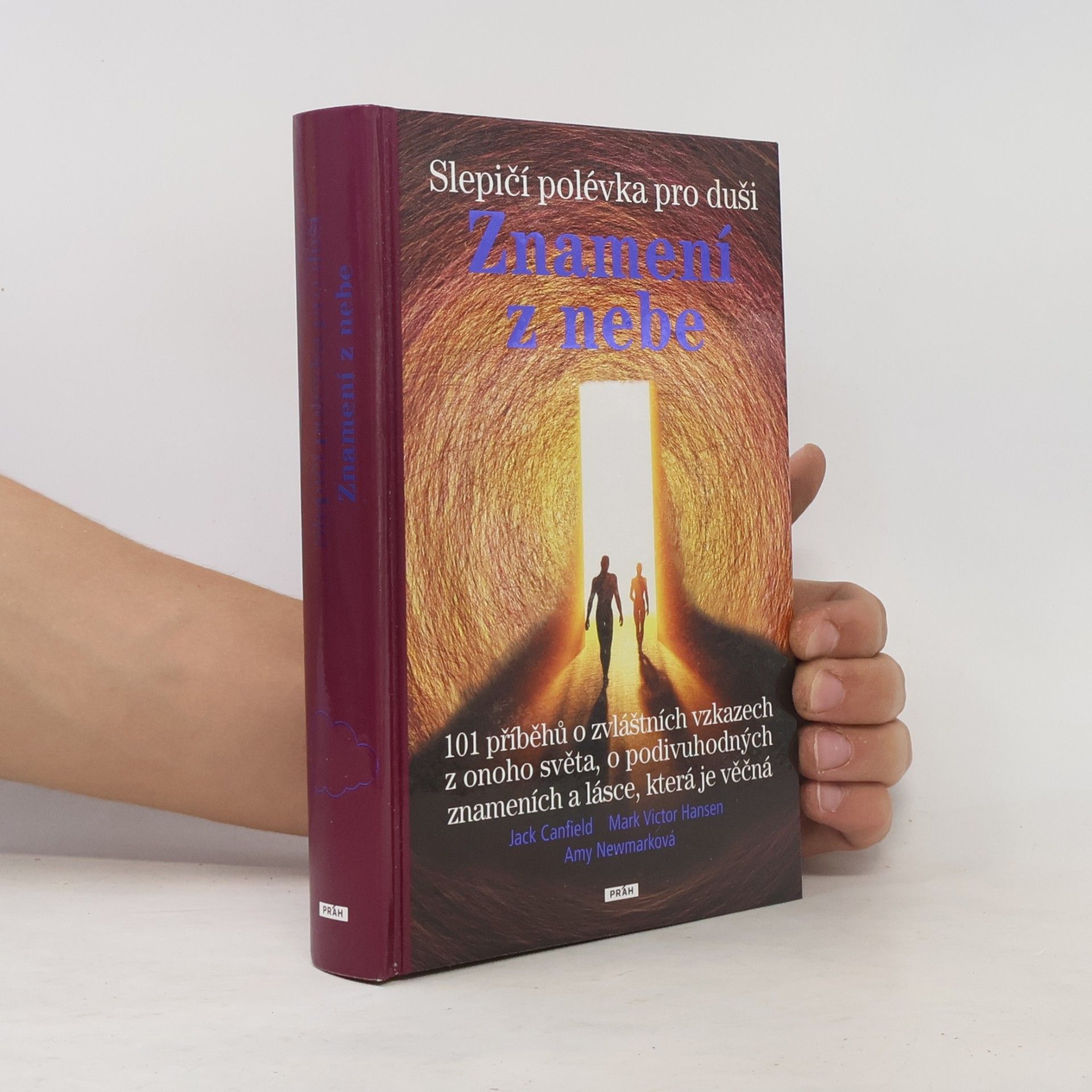 Jack Canfield Slepičí polévka pro duši